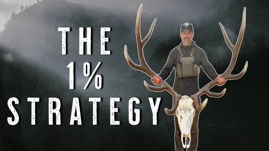 HOW TO KILL AN ELK EVERY YEAR ON PUBLIC LAND | ELK HUNTING TIPS & TACTICS