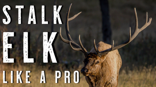 HOW TO STALK ELK - 33 YEARS OF ELK HUNTING LESSONS THAT WORK
