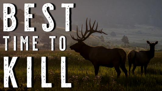 THIS ONE MISTAKE COULD BE COSTING YOU EVERY PUBLIC LAND ELK HUNT