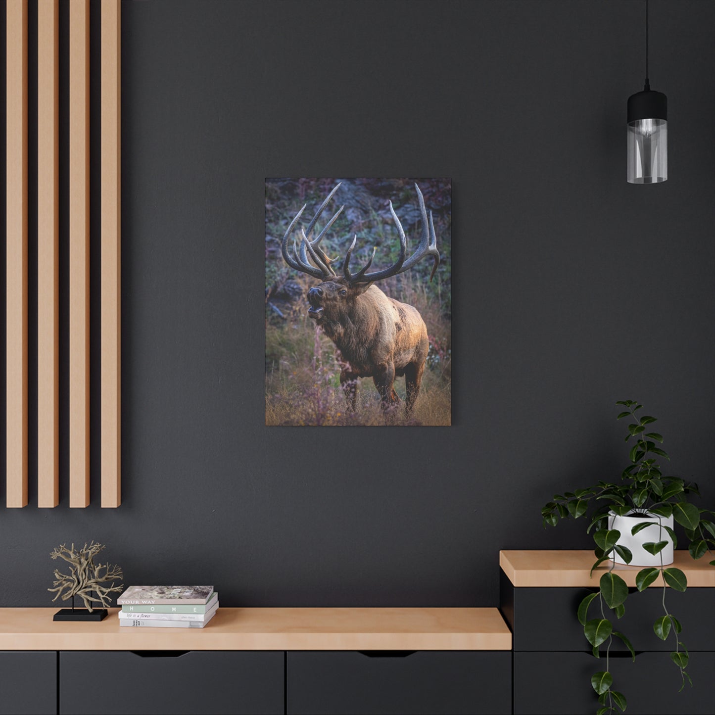 FALL INTENSITY BULL ELK STRETCHED CANVAS PRINT