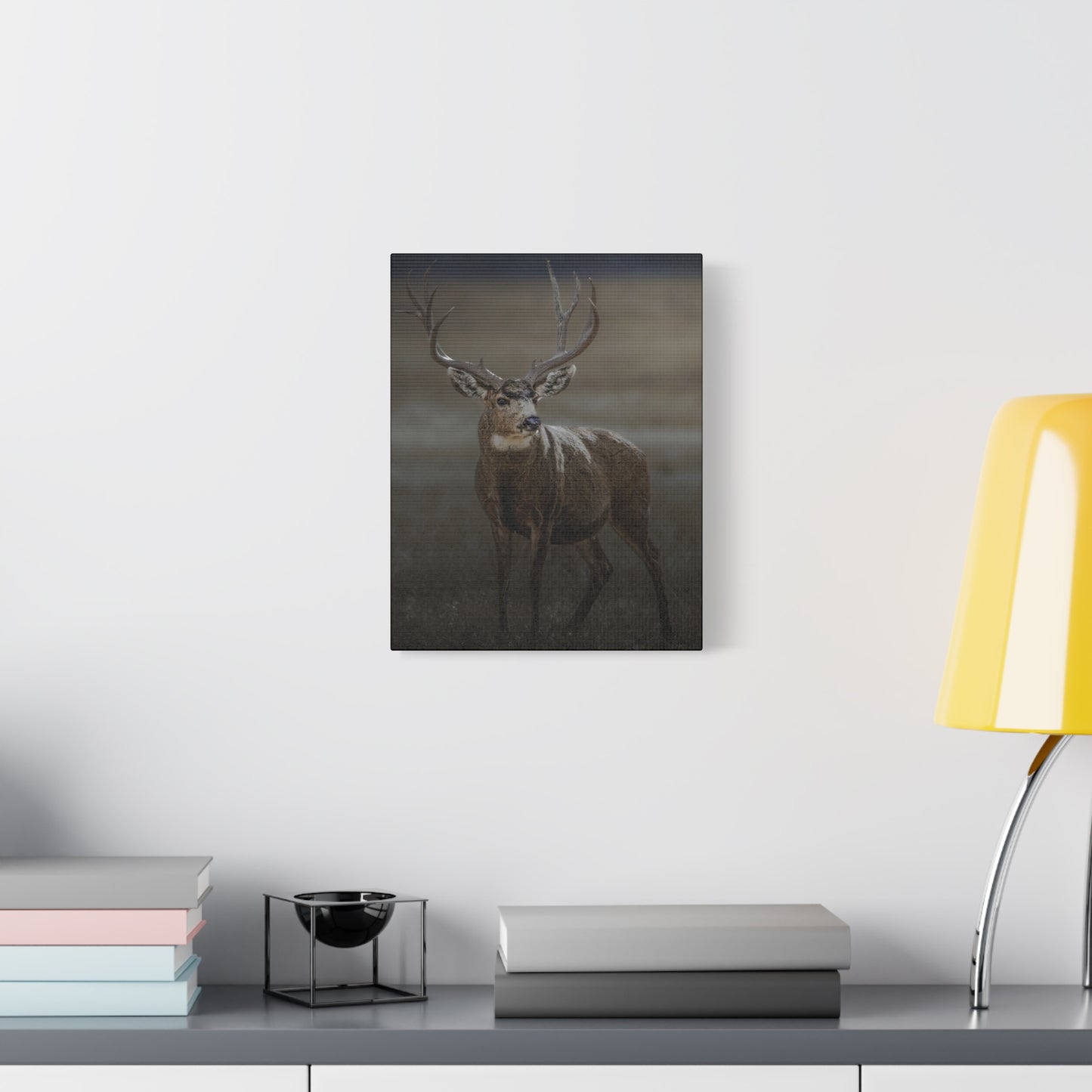 MORNING MULEY MULE DEER BUCK STRETCHED CANVAS PRINT