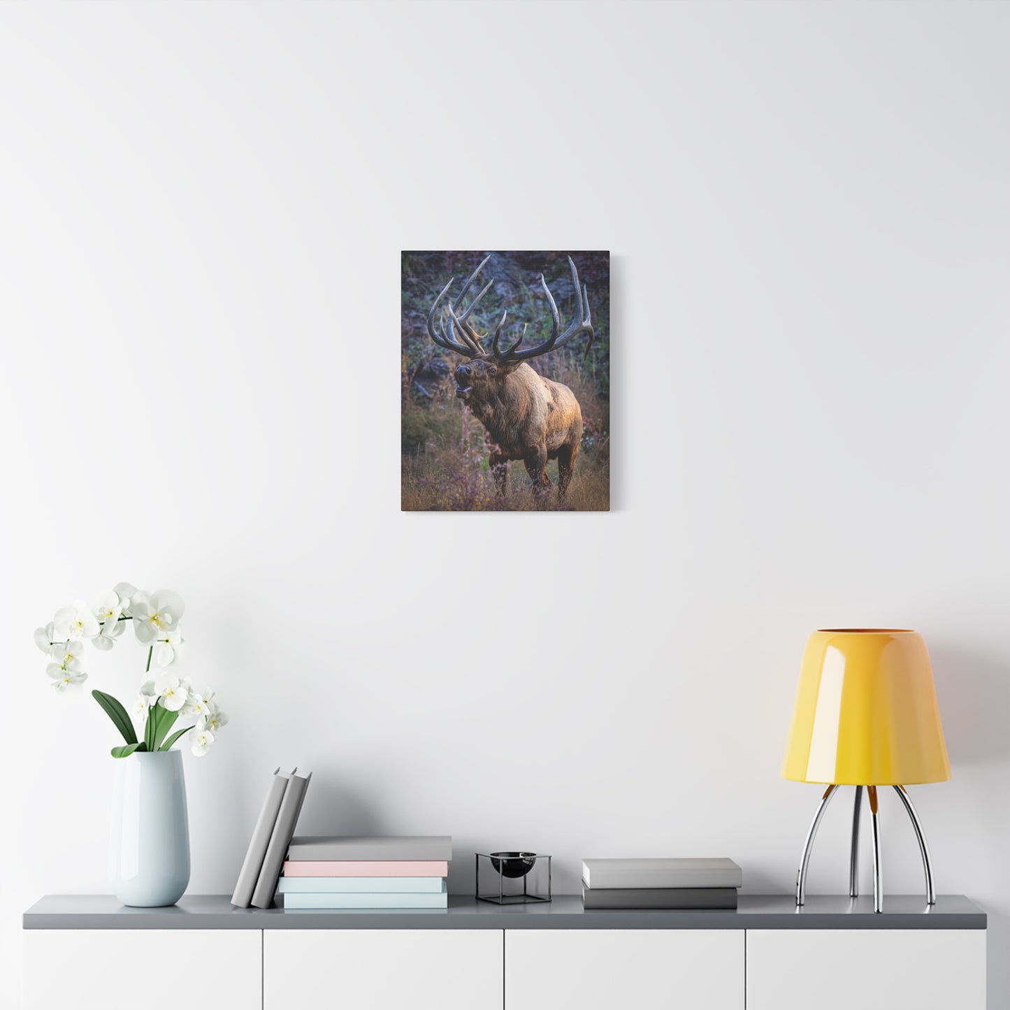 FALL INTENSITY BULL ELK STRETCHED CANVAS PRINT
