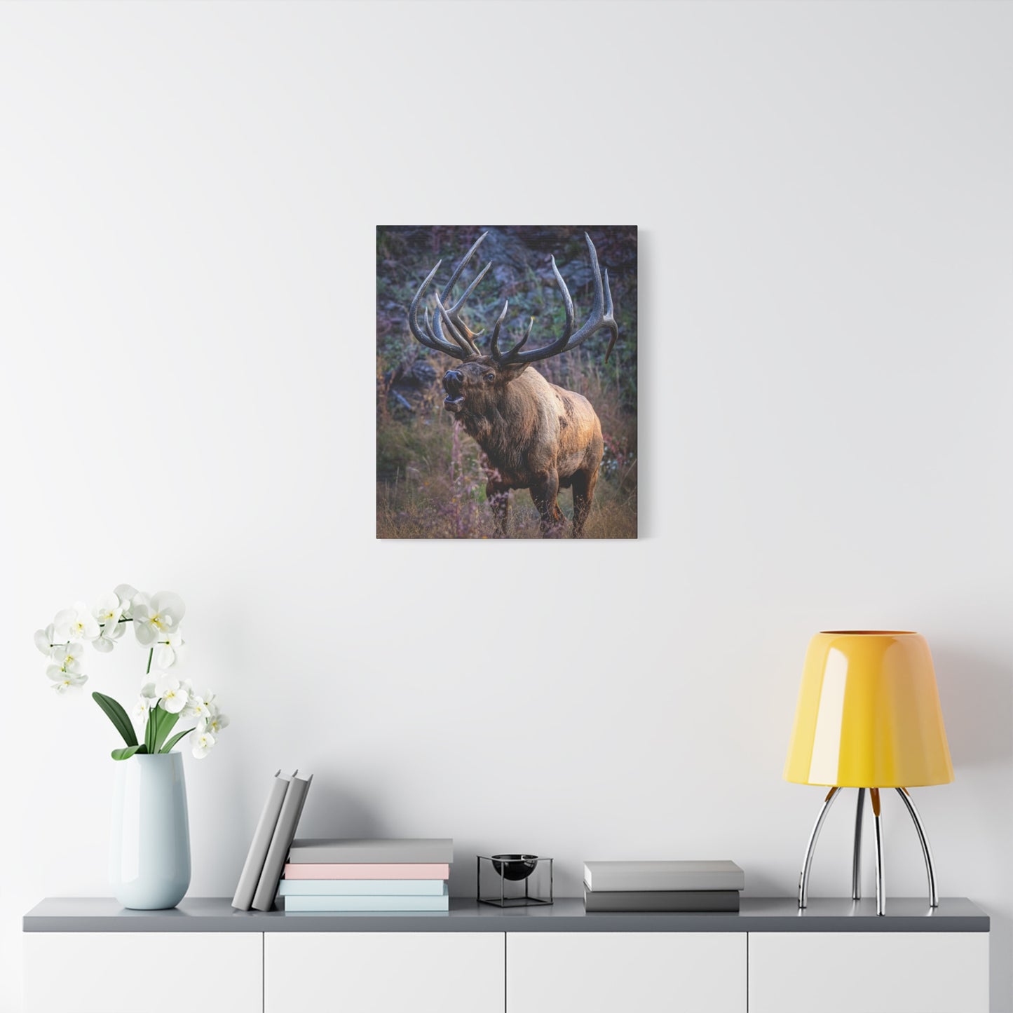 FALL INTENSITY BULL ELK STRETCHED CANVAS PRINT