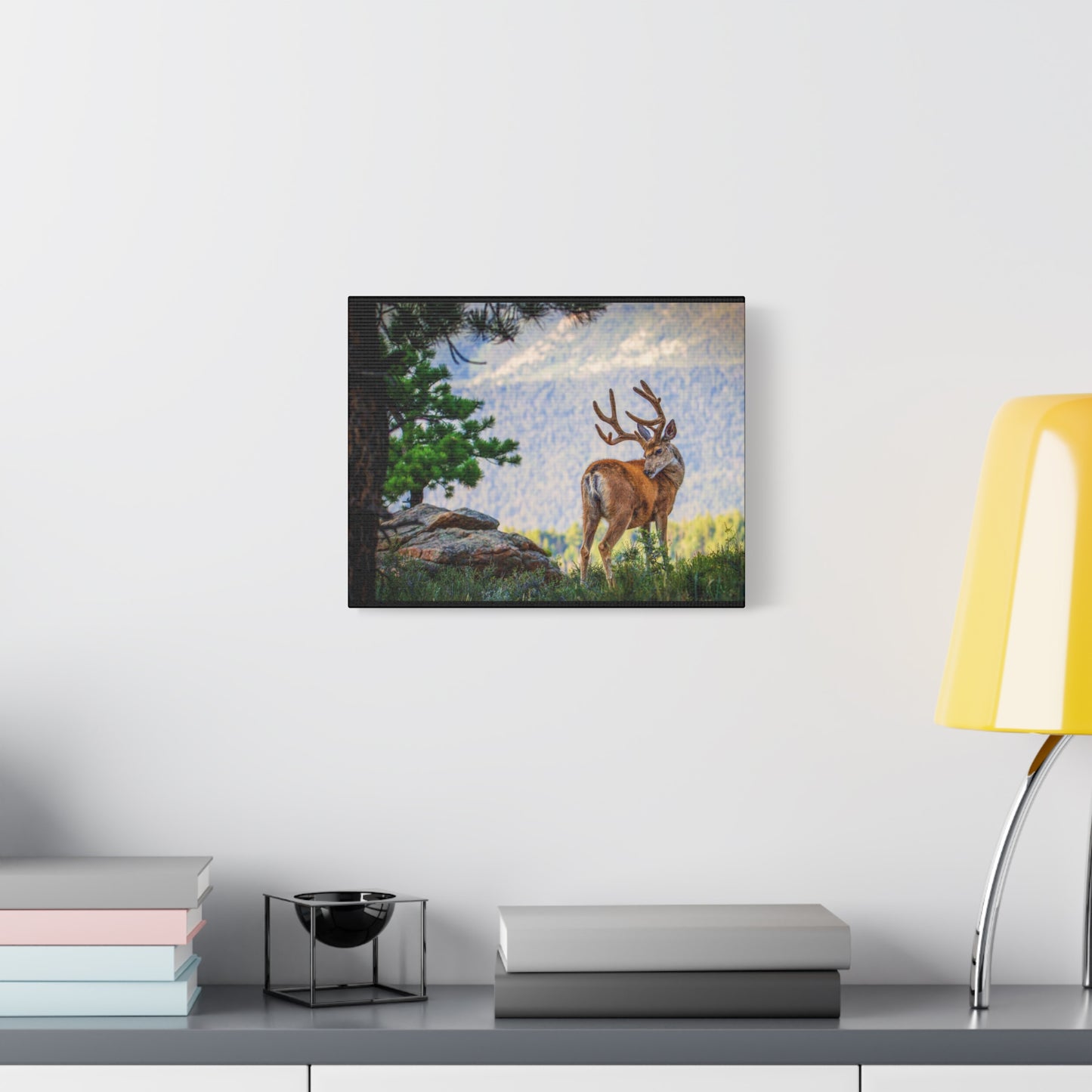 BACKDROP ITCH BUCK MULE DEER STRETCHED CANVAS PRINT