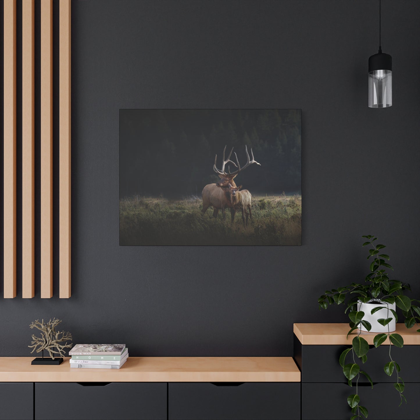 GENERATIONS BULL ELK STRETCHED CANVAS PRINT