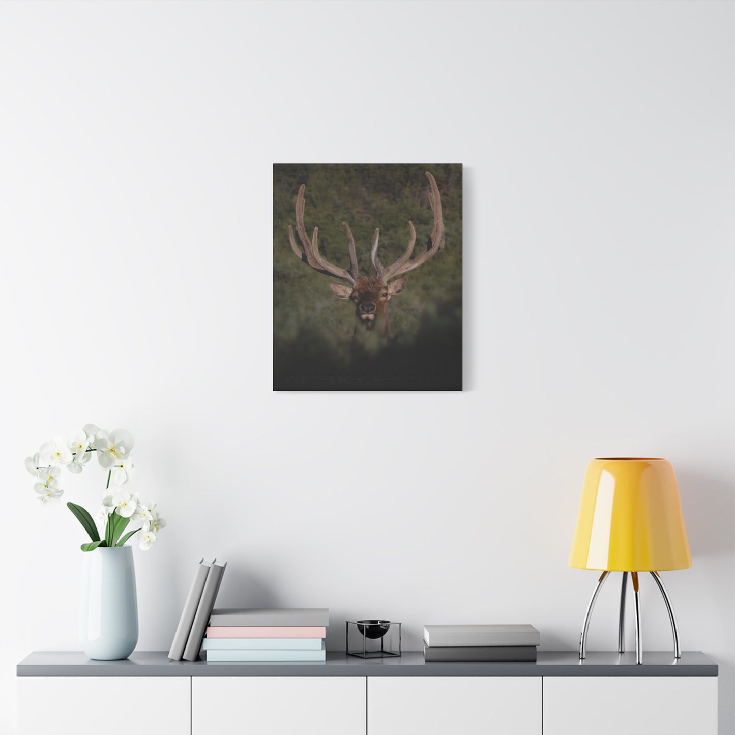 VELVET SURPRISE BULL ELK STRETCHED CANVAS PRINT