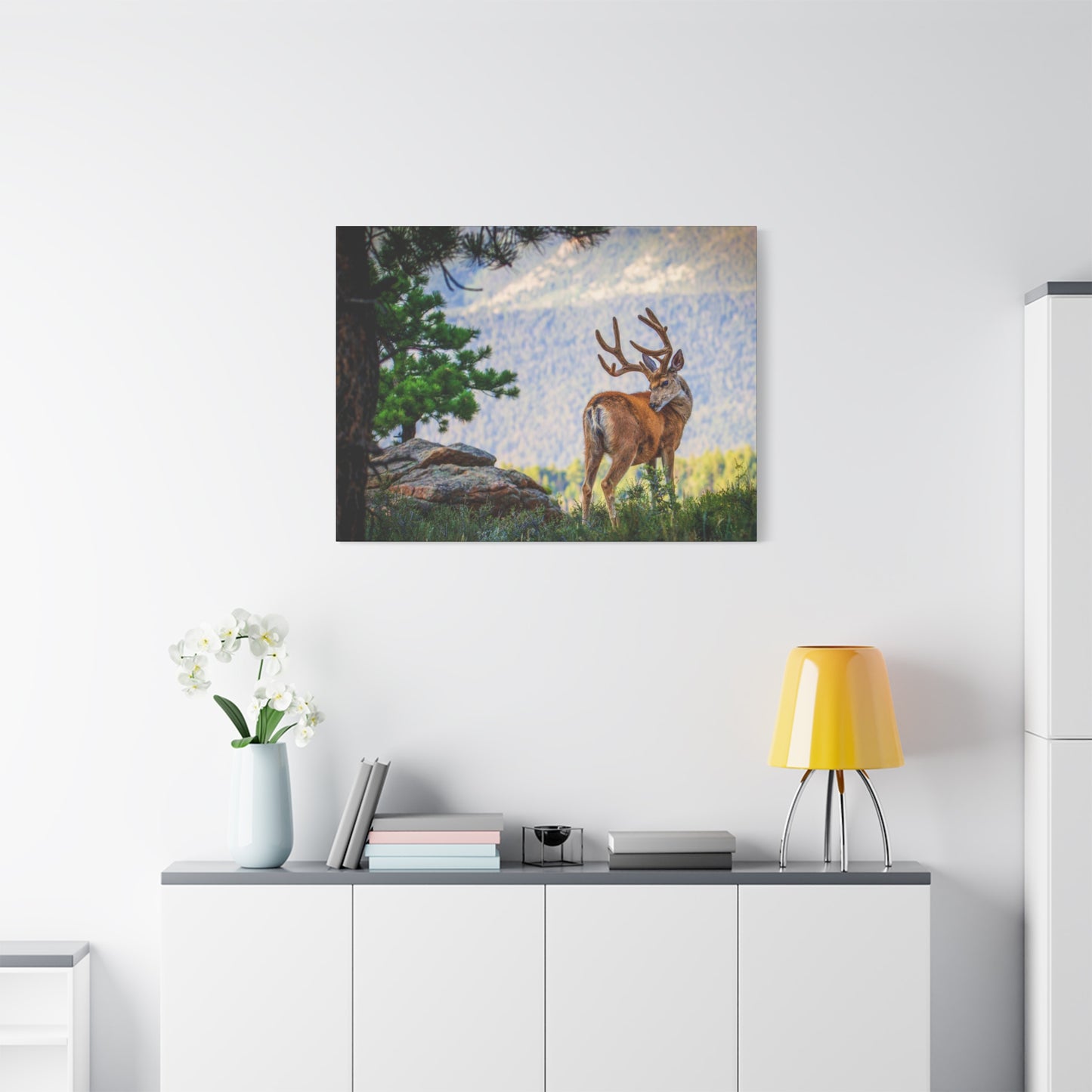 BACKDROP ITCH BUCK MULE DEER STRETCHED CANVAS PRINT