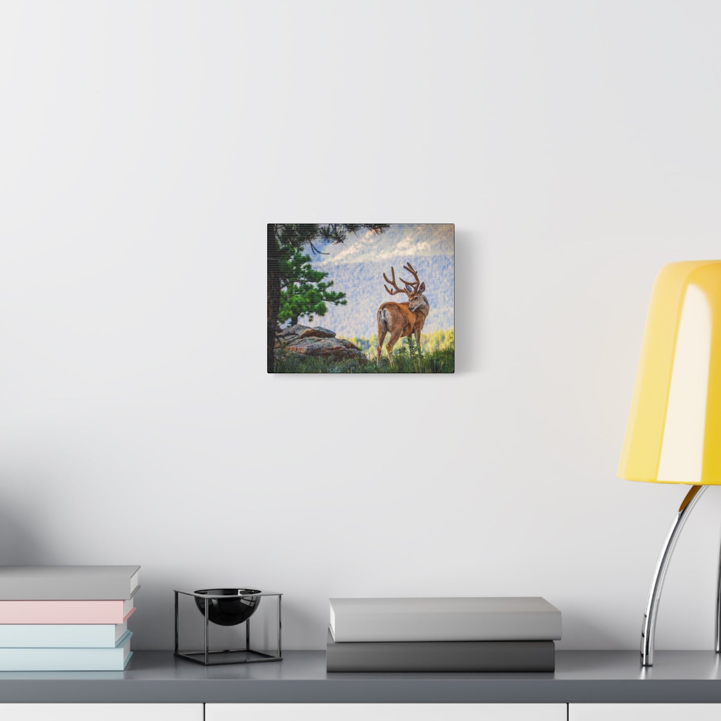BACKDROP ITCH BUCK MULE DEER STRETCHED CANVAS PRINT