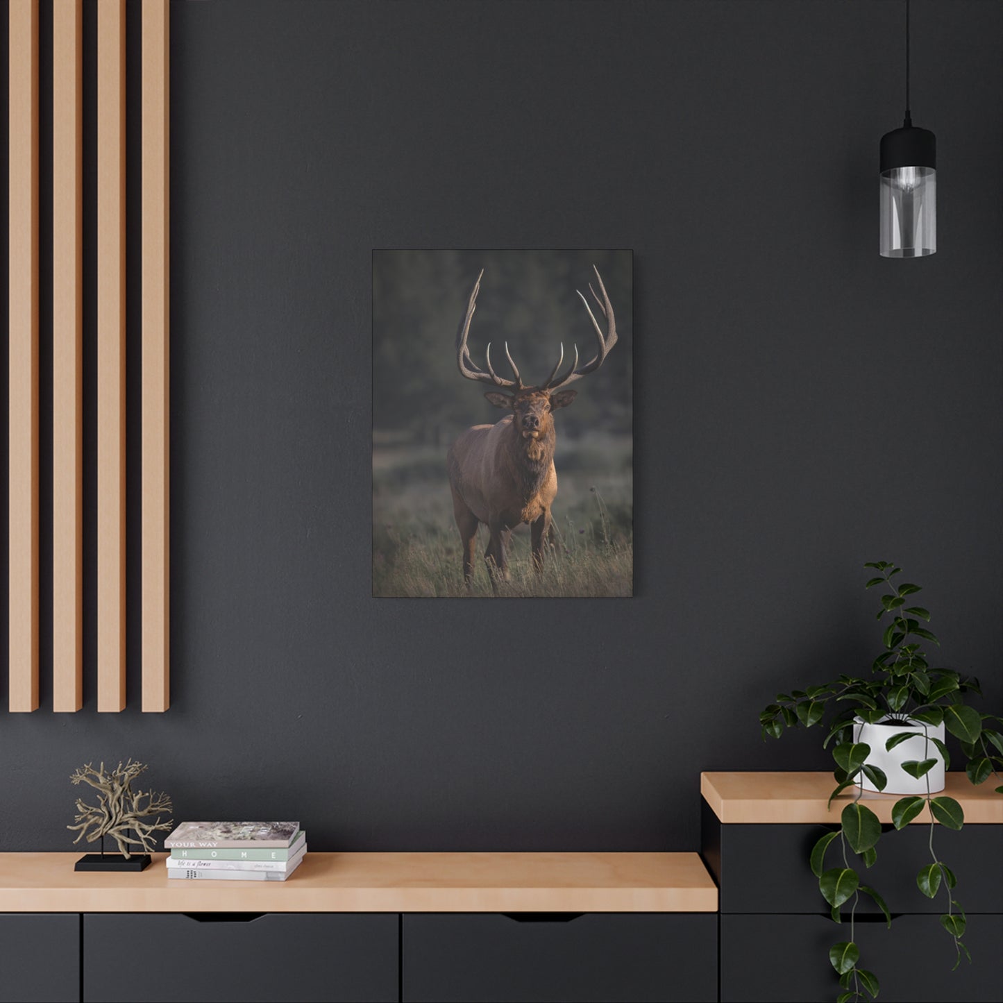 ATTENTION GETTER BULL ELK STRETCHED CANVAS PRINT