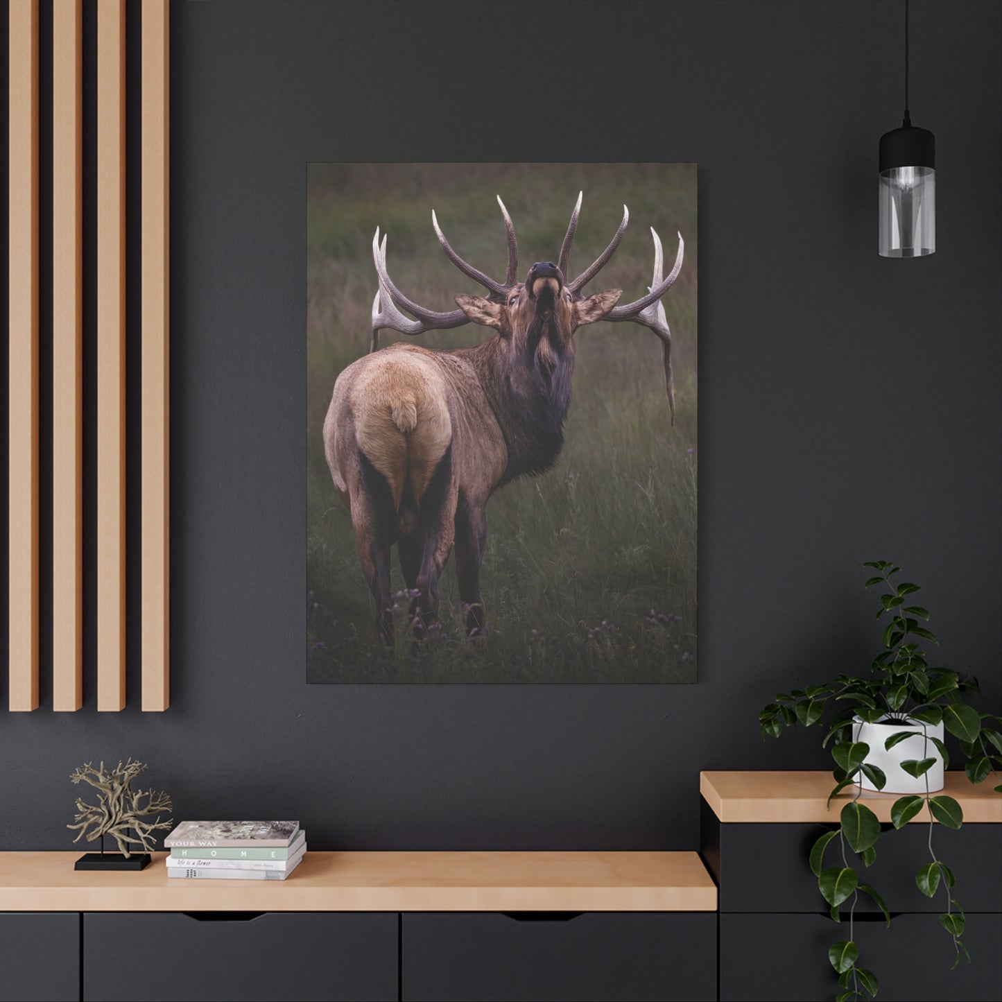 BEYOND BULL ELK STRETCHED CANVAS PRINT