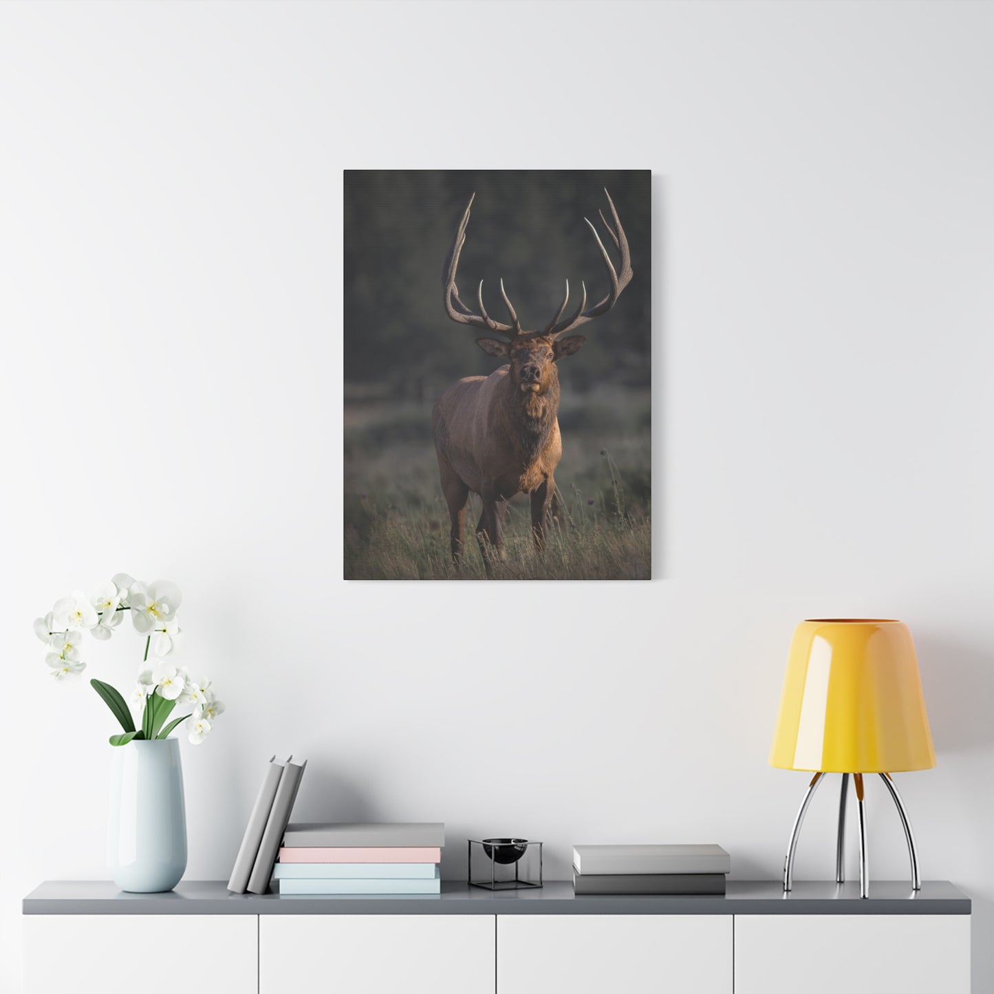 ATTENTION GETTER BULL ELK STRETCHED CANVAS PRINT