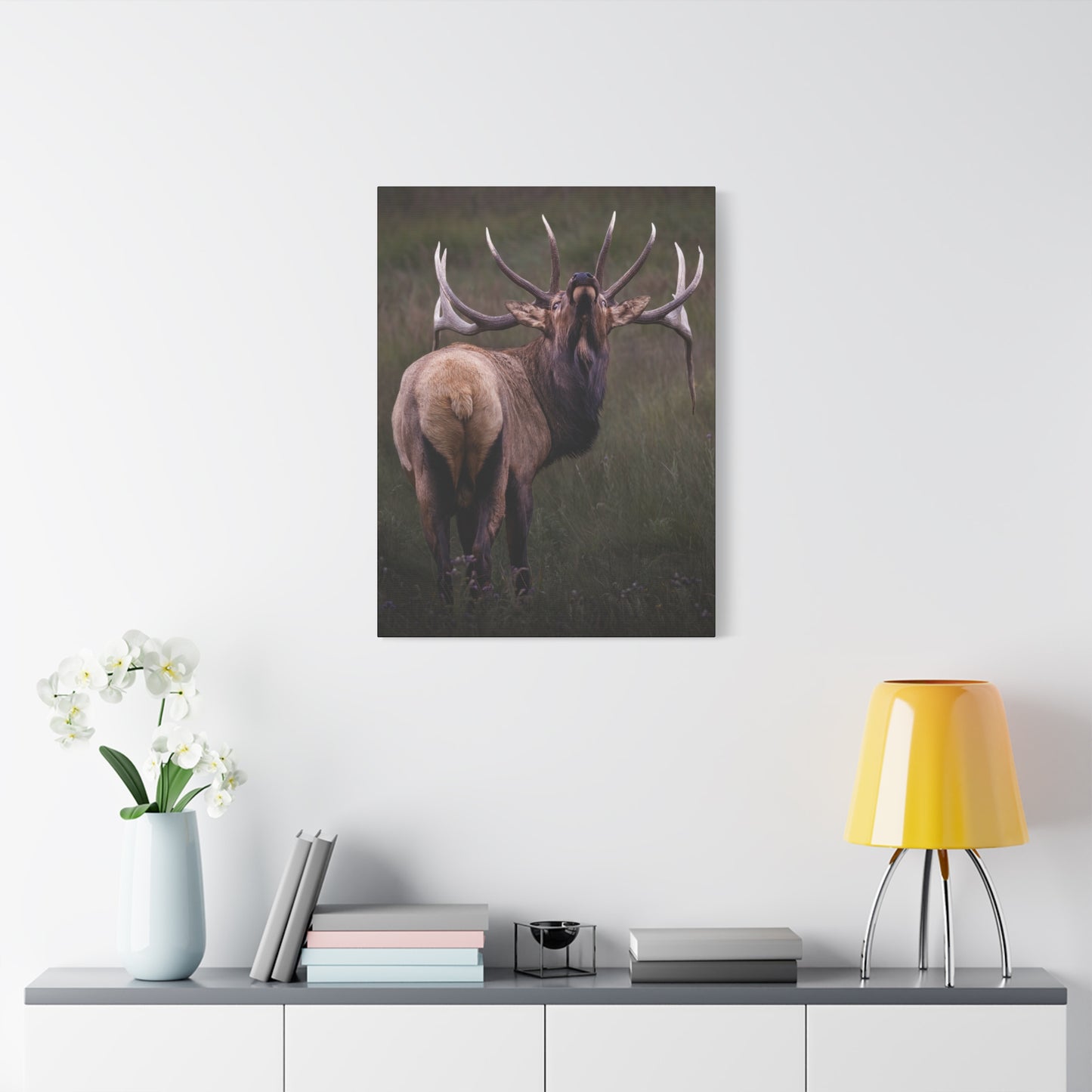 BEYOND BULL ELK STRETCHED CANVAS PRINT