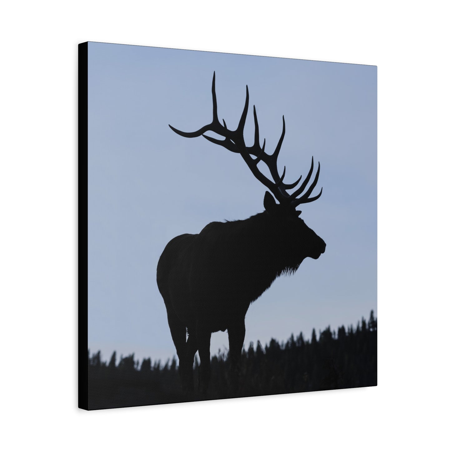 ROCKY MOUNTAIN SILHOUETTE BULL ELK STRETCHED CANVAS PRINT
