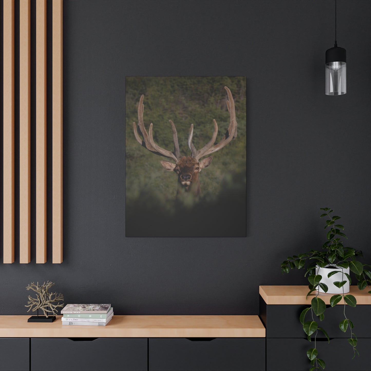 VELVET SURPRISE BULL ELK STRETCHED CANVAS PRINT