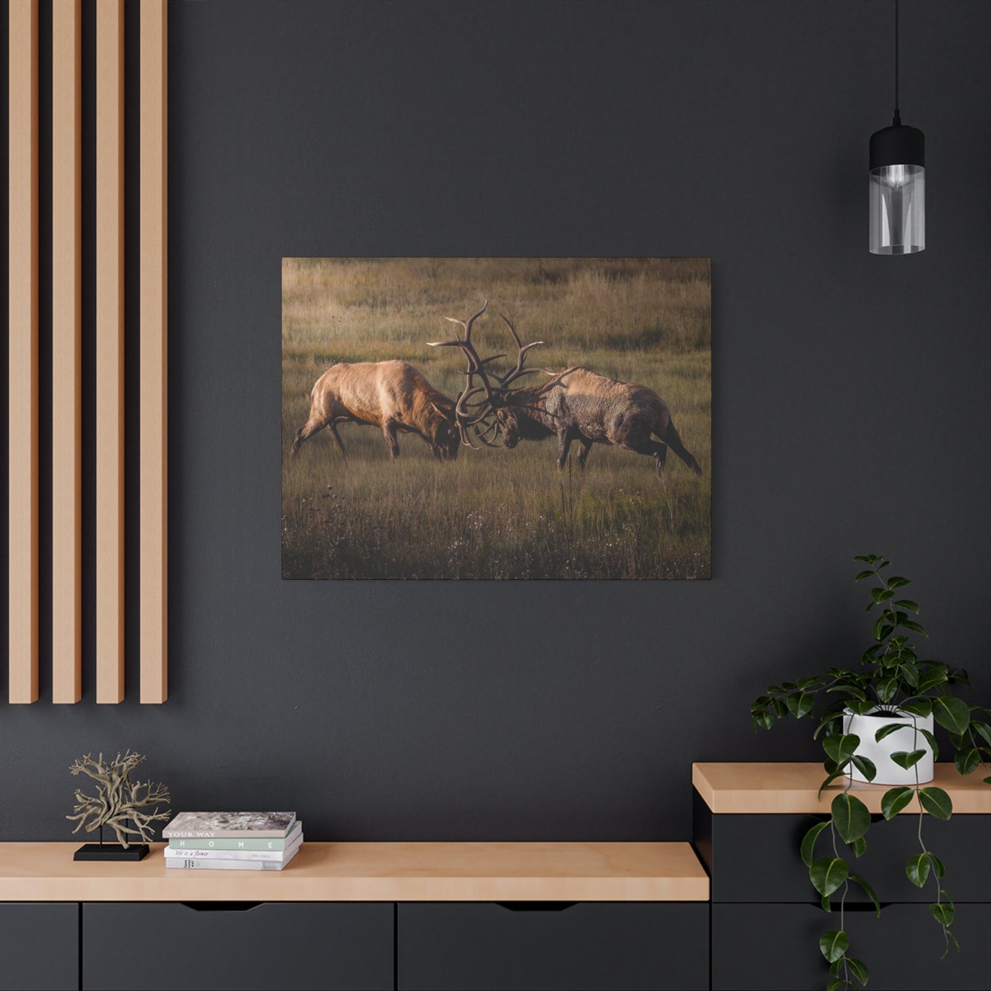 LOCKED IN LIGHT BULL ELK STRETCHED CANVAS PRINT