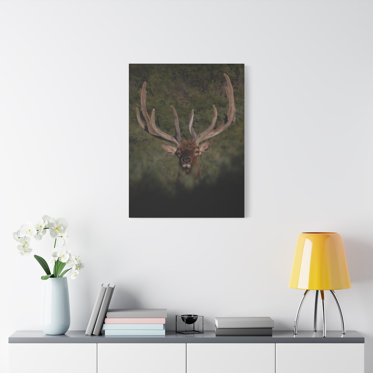 VELVET SURPRISE BULL ELK STRETCHED CANVAS PRINT