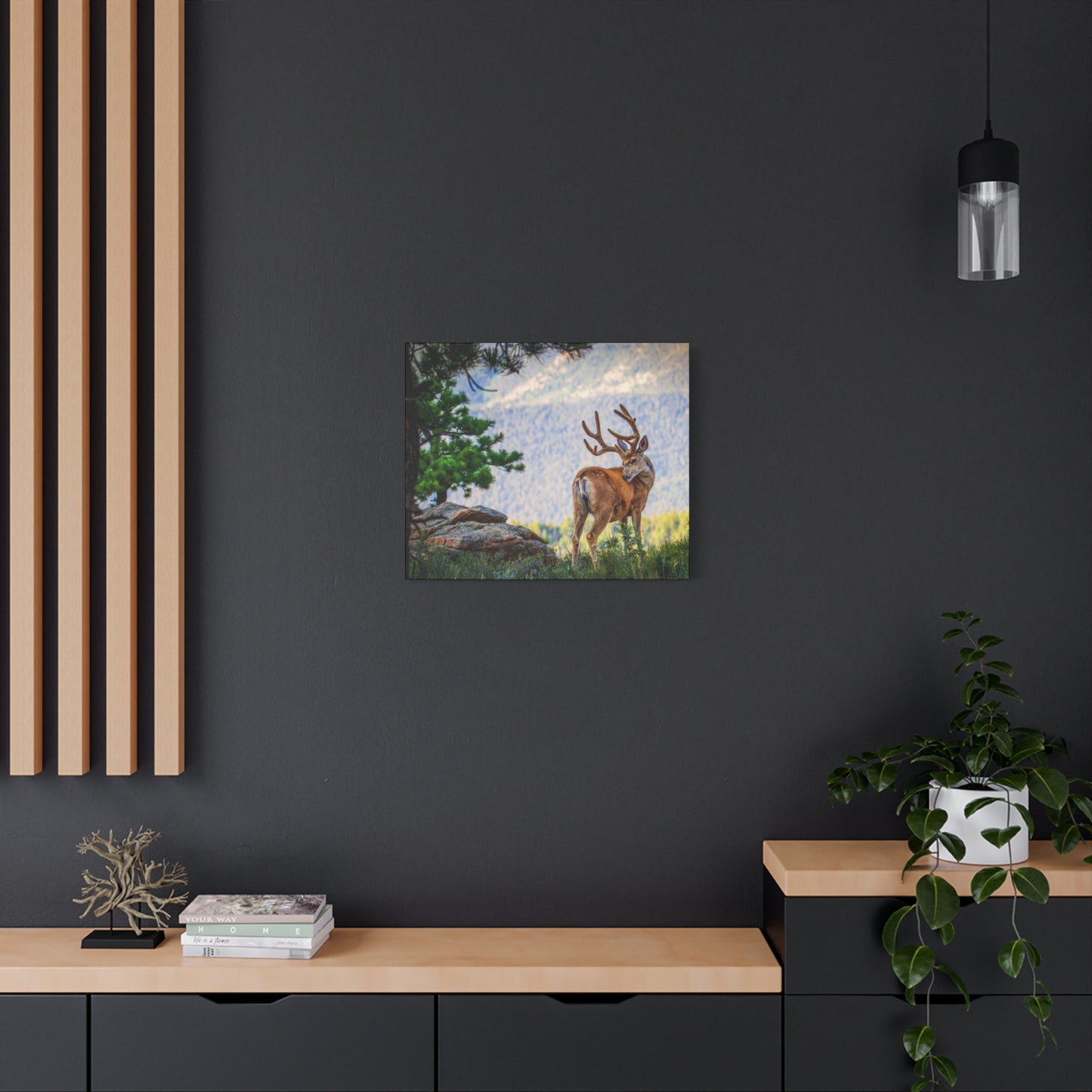 BACKDROP ITCH BUCK MULE DEER STRETCHED CANVAS PRINT