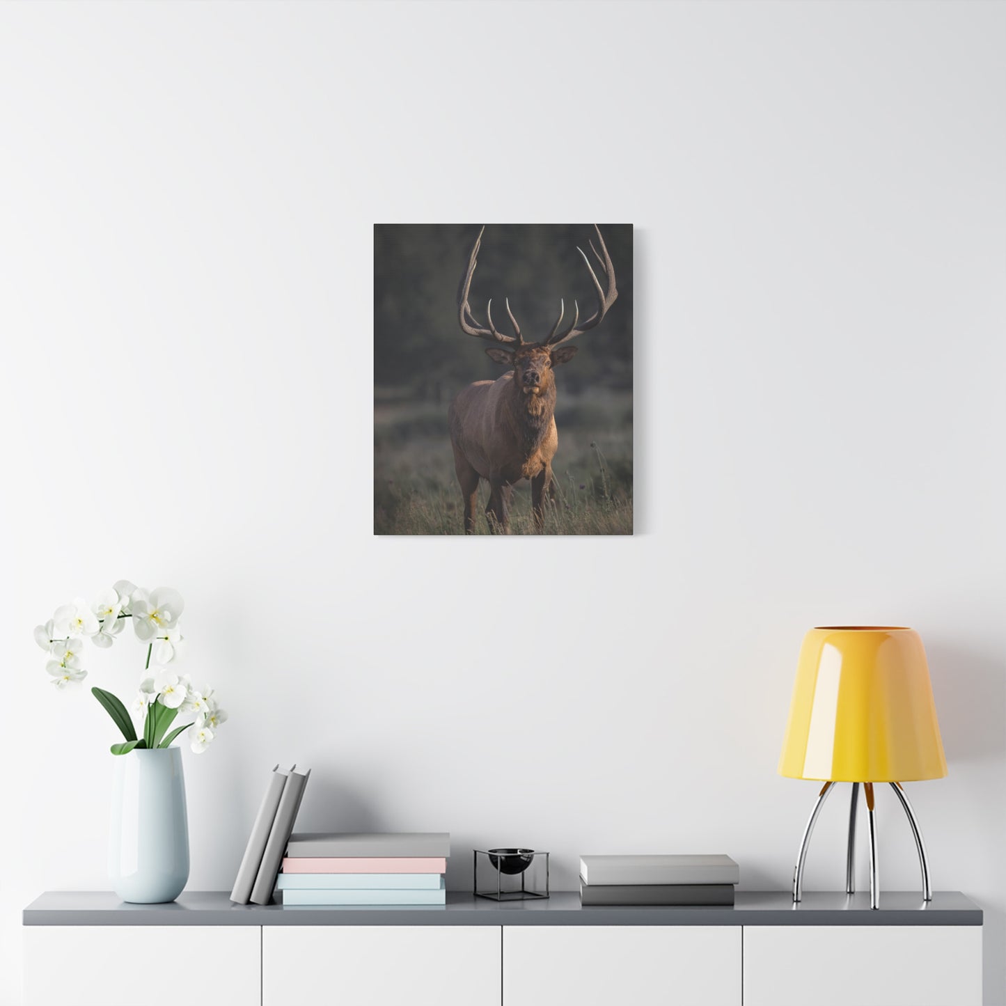 ATTENTION GETTER BULL ELK STRETCHED CANVAS PRINT