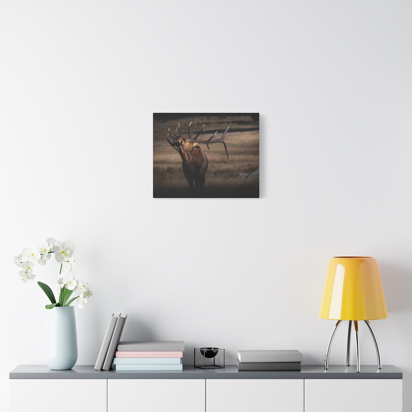 WILD SIDE BULL ELK STRETCHED CANVAS PRINT