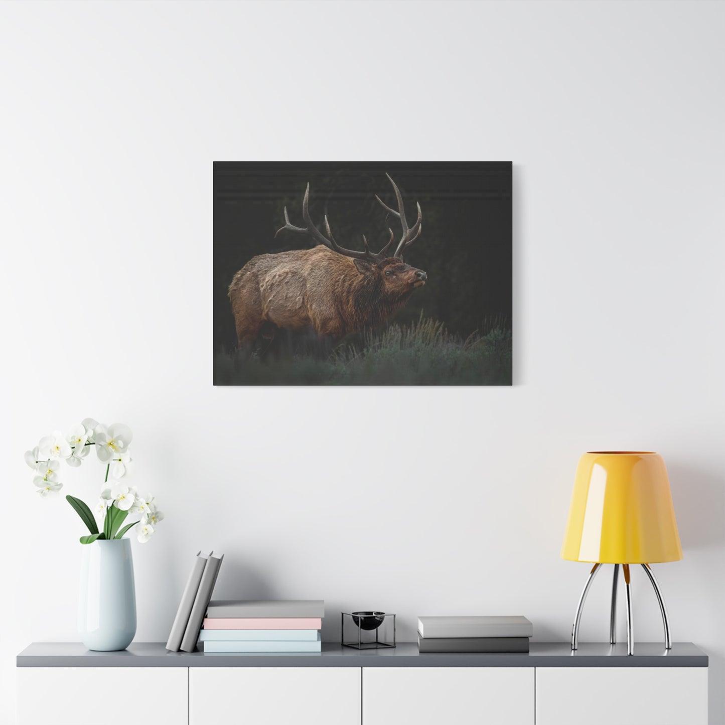 LOW LOOK BULL ELK STRETCHED CANVAS PRINT