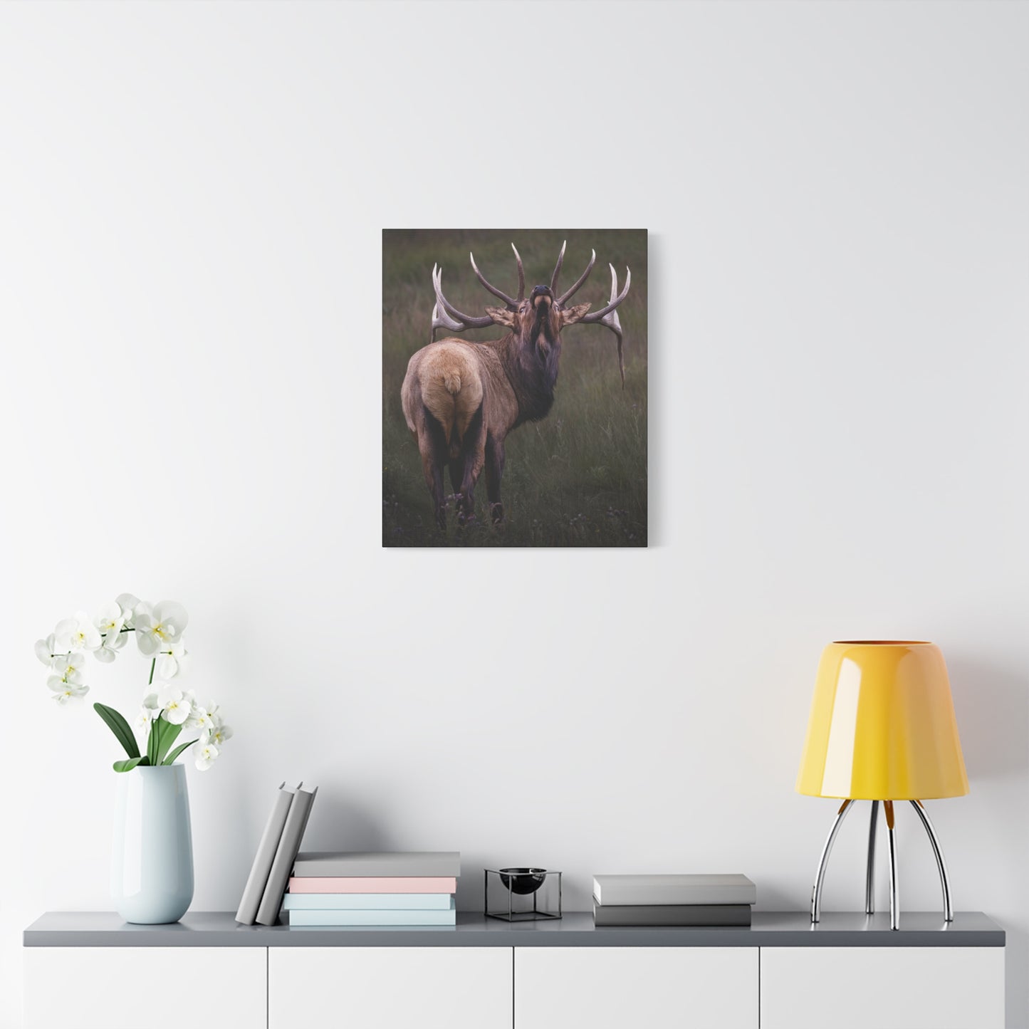 BEYOND BULL ELK STRETCHED CANVAS PRINT