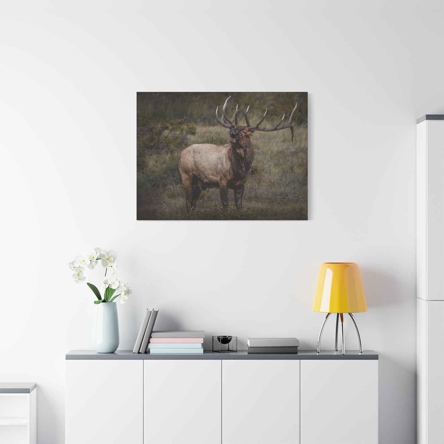 BEAMER BULL ELK STRETCHED CANVAS PRINT