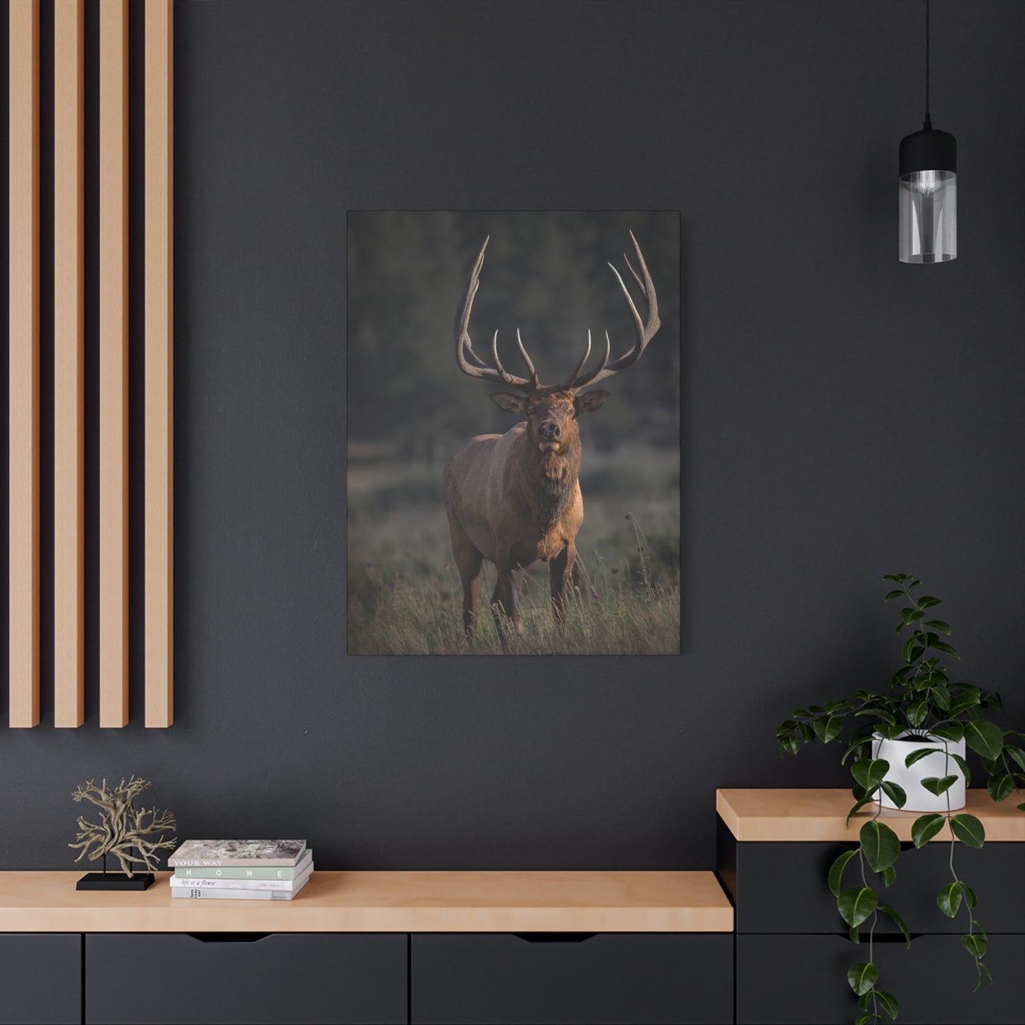 ATTENTION GETTER BULL ELK STRETCHED CANVAS PRINT