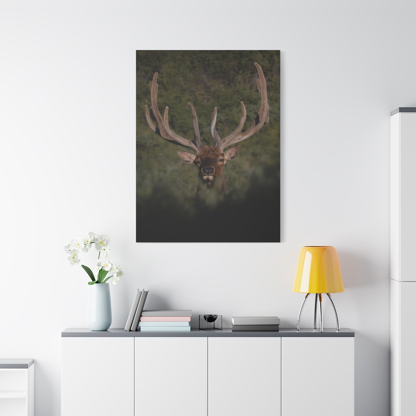 VELVET SURPRISE BULL ELK STRETCHED CANVAS PRINT