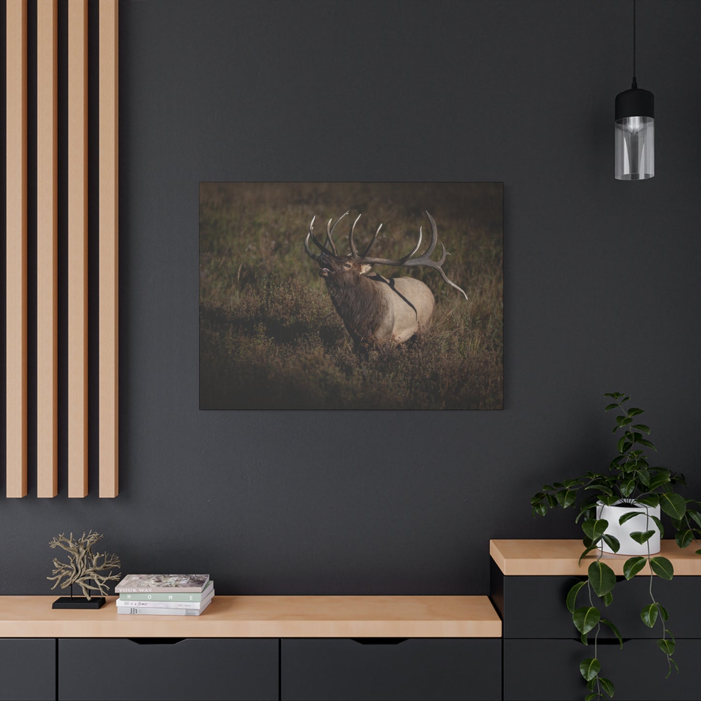 SPLIT DECISION BULL ELK STRETCHED CANVAS PRINT