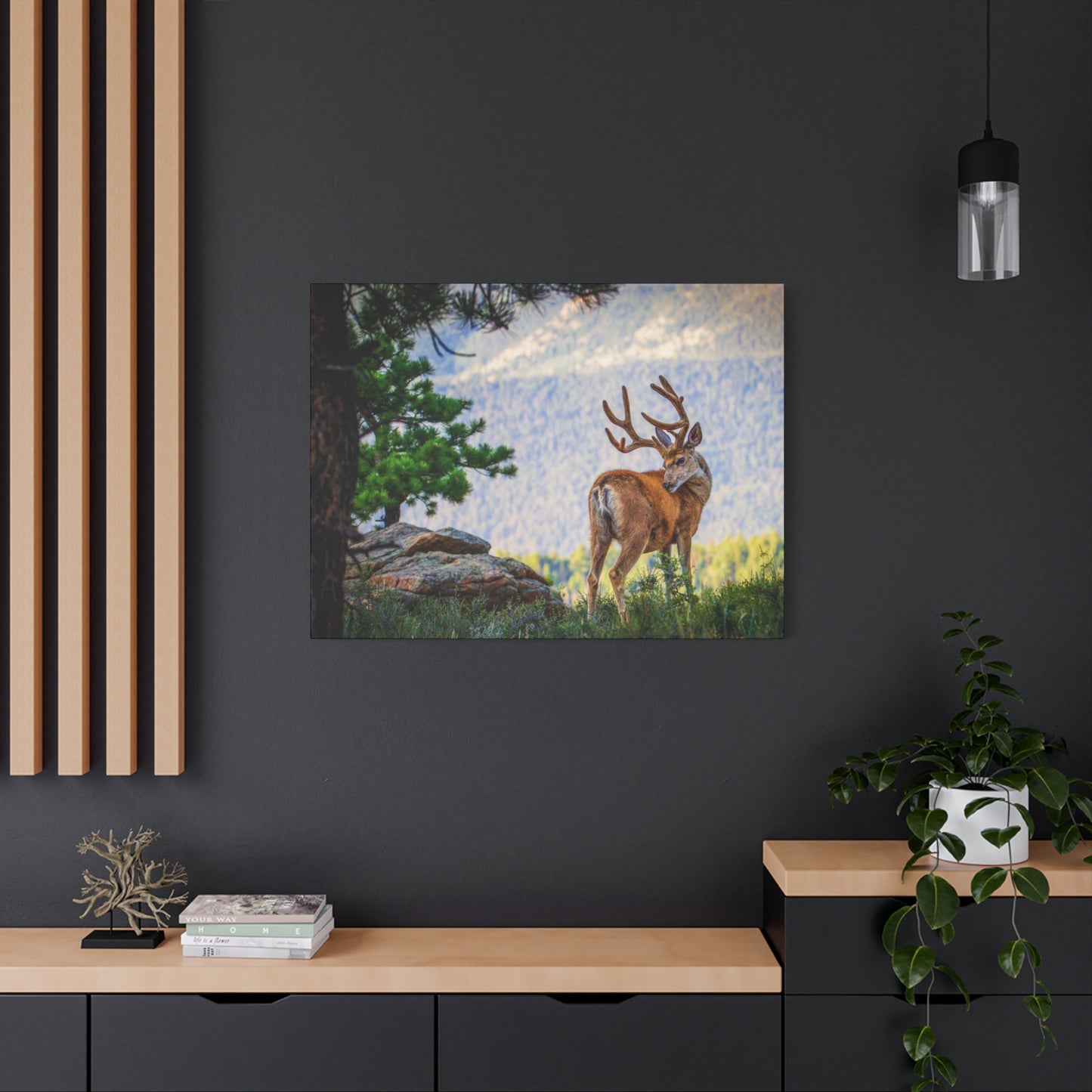 BACKDROP ITCH BUCK MULE DEER STRETCHED CANVAS PRINT