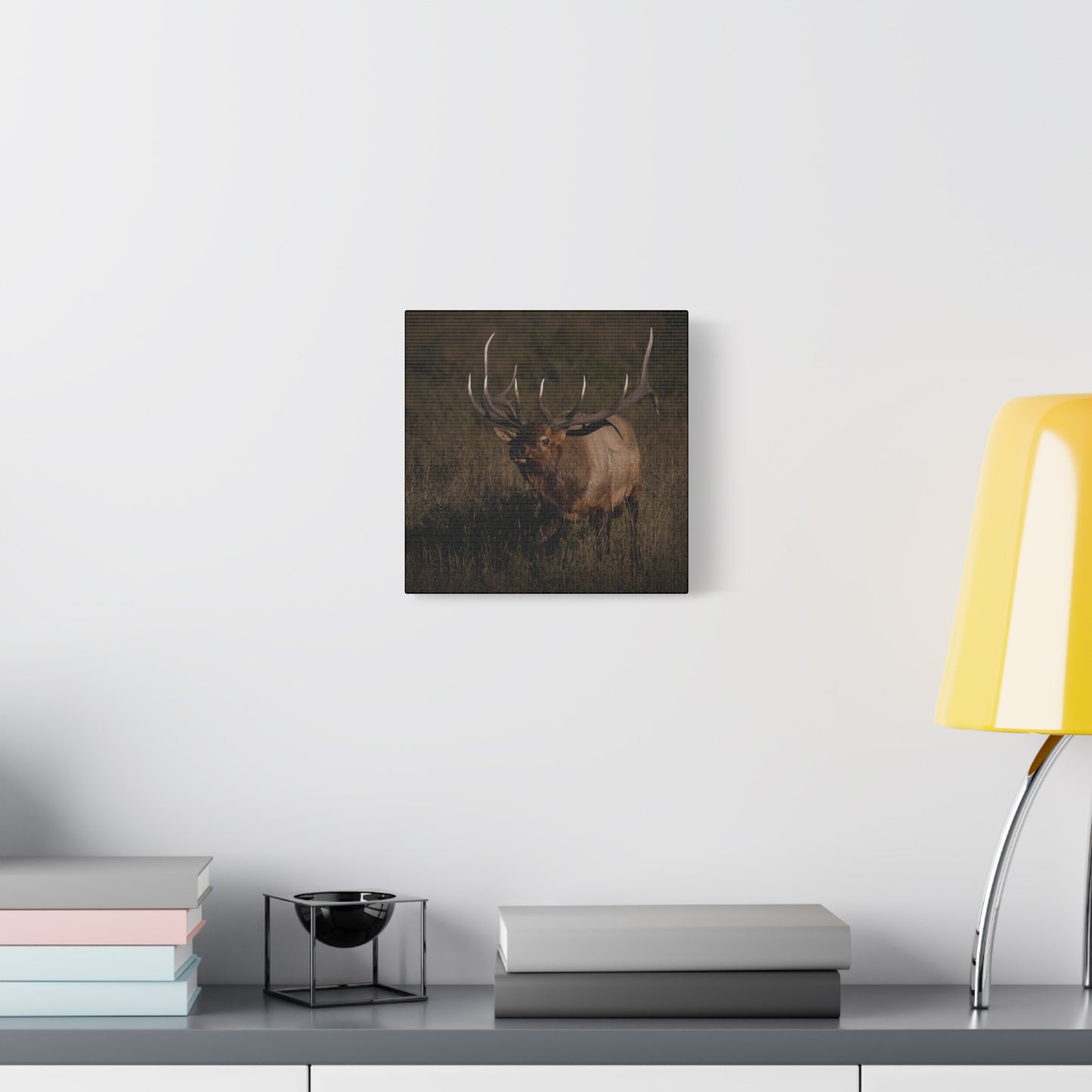 LAID BACK BULL ELK STRETCHED CANVAS PRINT
