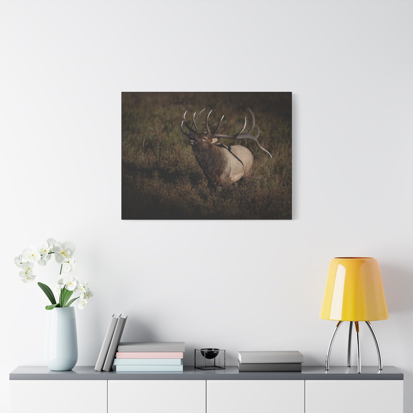 SPLIT DECISION BULL ELK STRETCHED CANVAS PRINT
