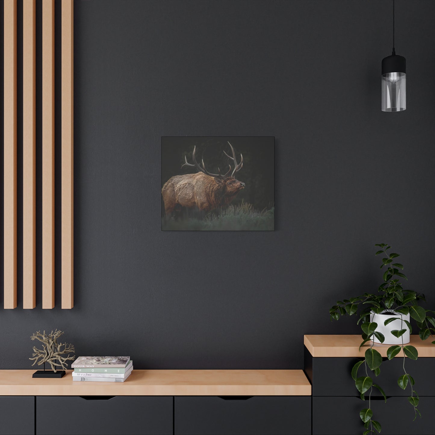 LOW LOOK BULL ELK STRETCHED CANVAS PRINT