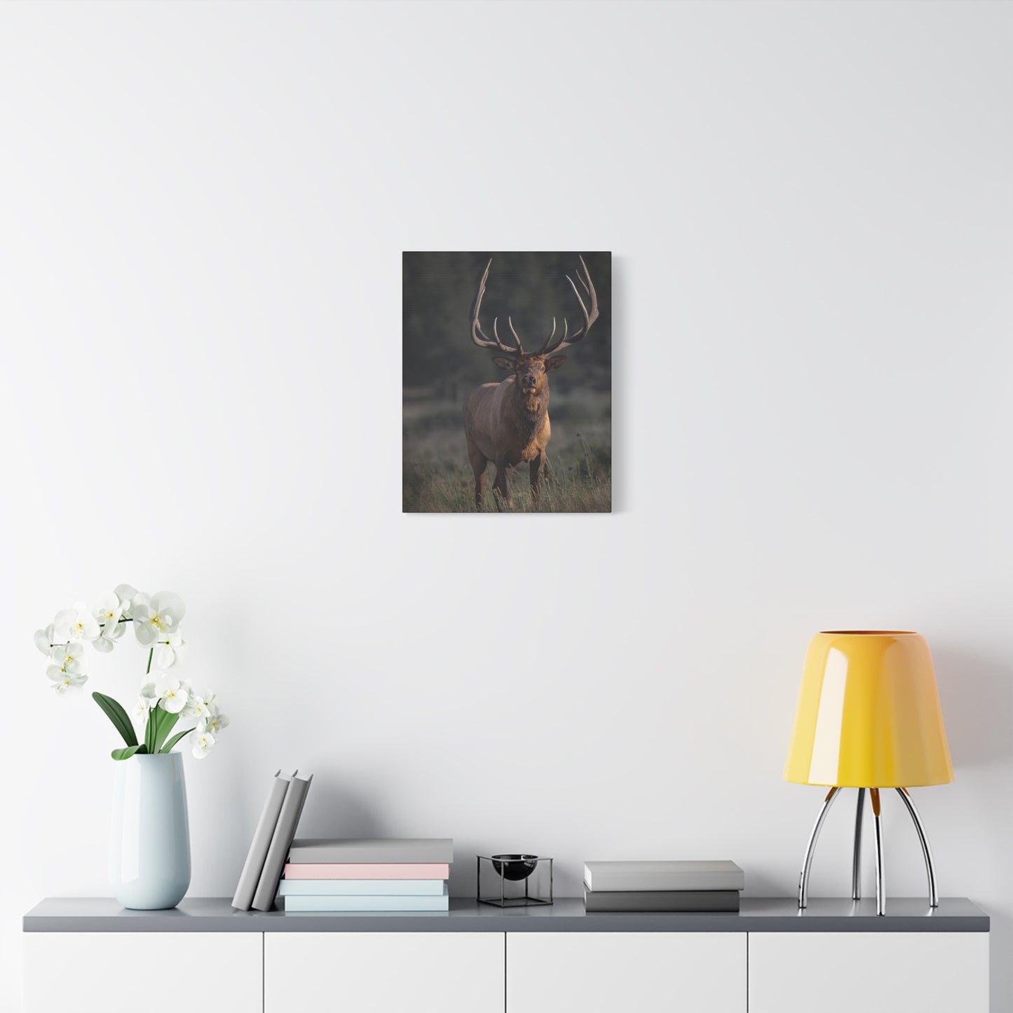 ATTENTION GETTER BULL ELK STRETCHED CANVAS PRINT
