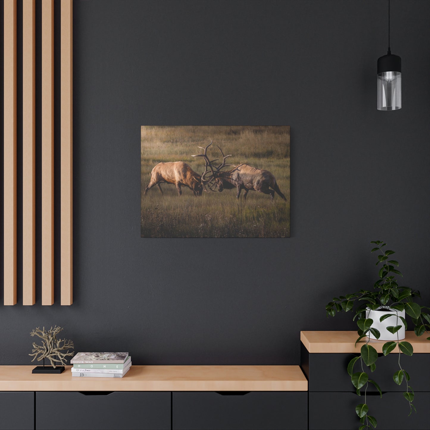 LOCKED IN LIGHT BULL ELK STRETCHED CANVAS PRINT