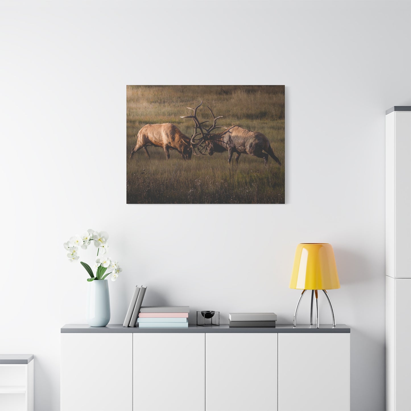 LOCKED IN LIGHT BULL ELK STRETCHED CANVAS PRINT