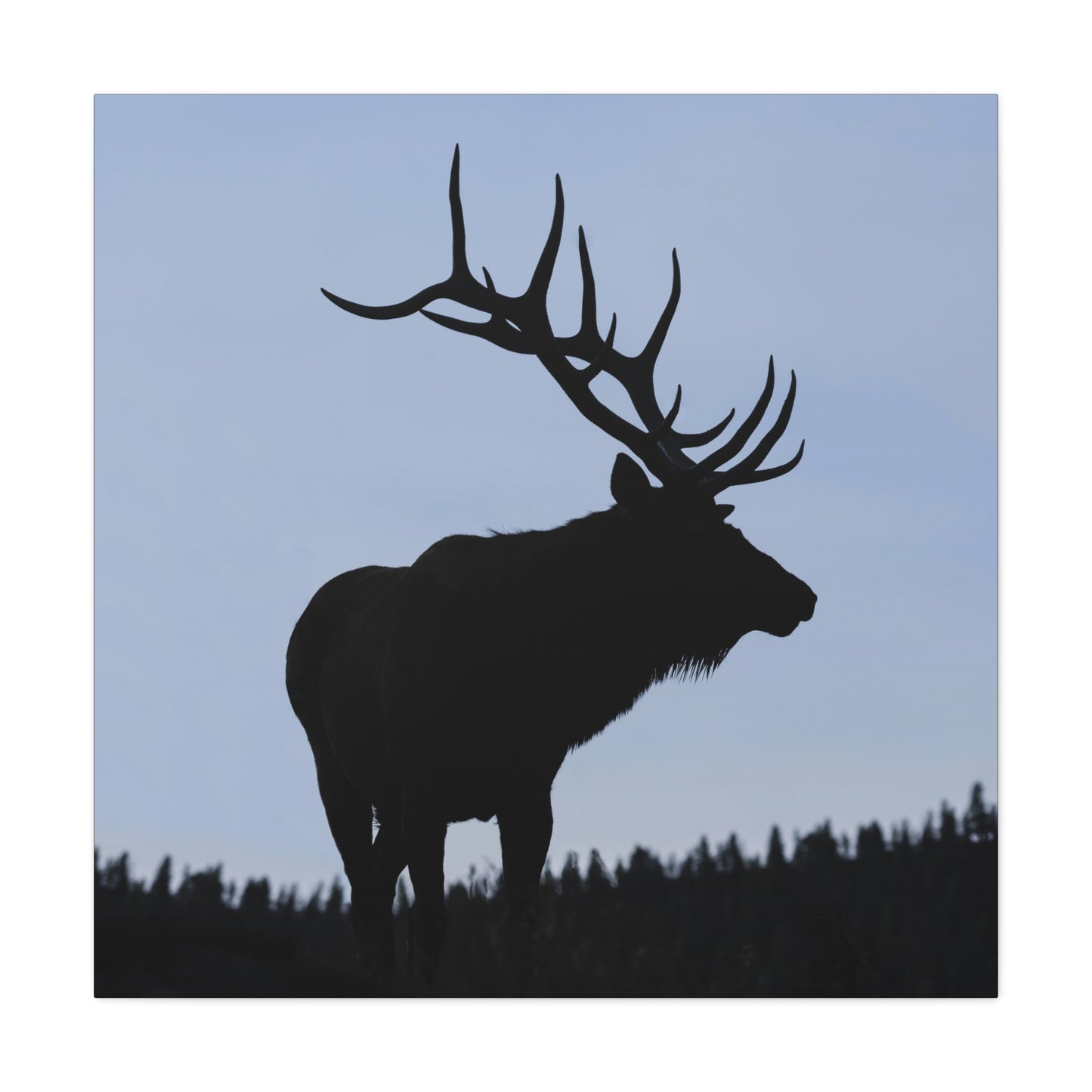 ROCKY MOUNTAIN SILHOUETTE BULL ELK STRETCHED CANVAS PRINT