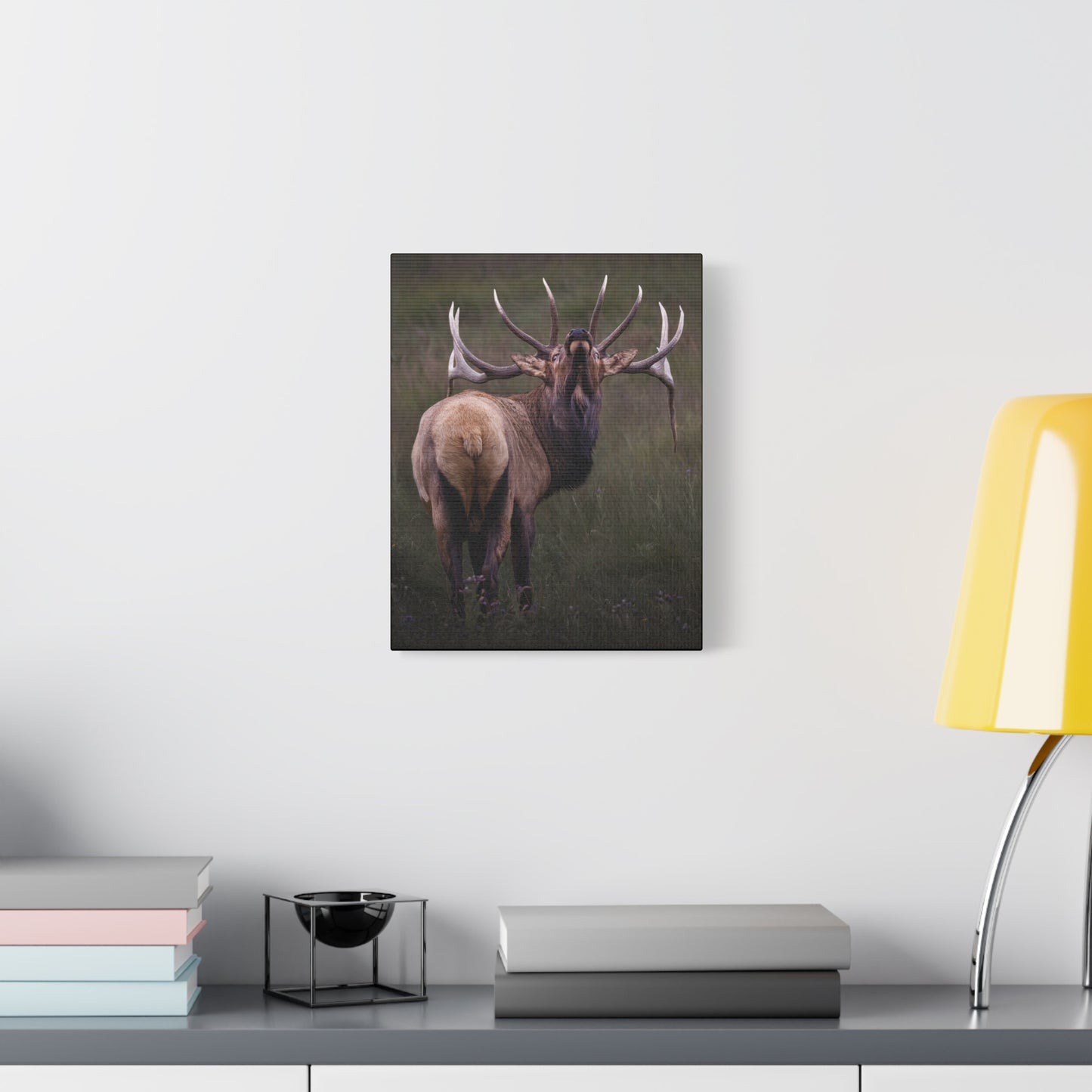 BEYOND BULL ELK STRETCHED CANVAS PRINT