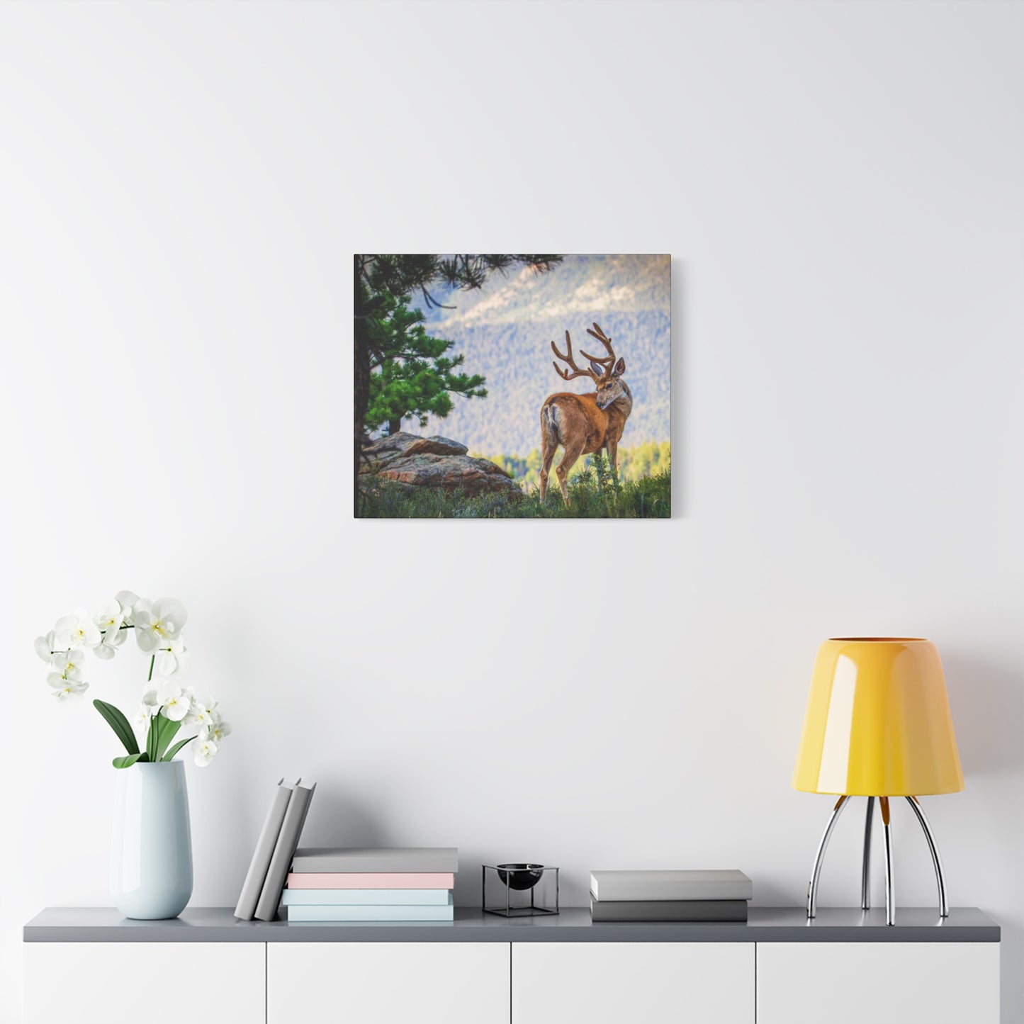 BACKDROP ITCH BUCK MULE DEER STRETCHED CANVAS PRINT
