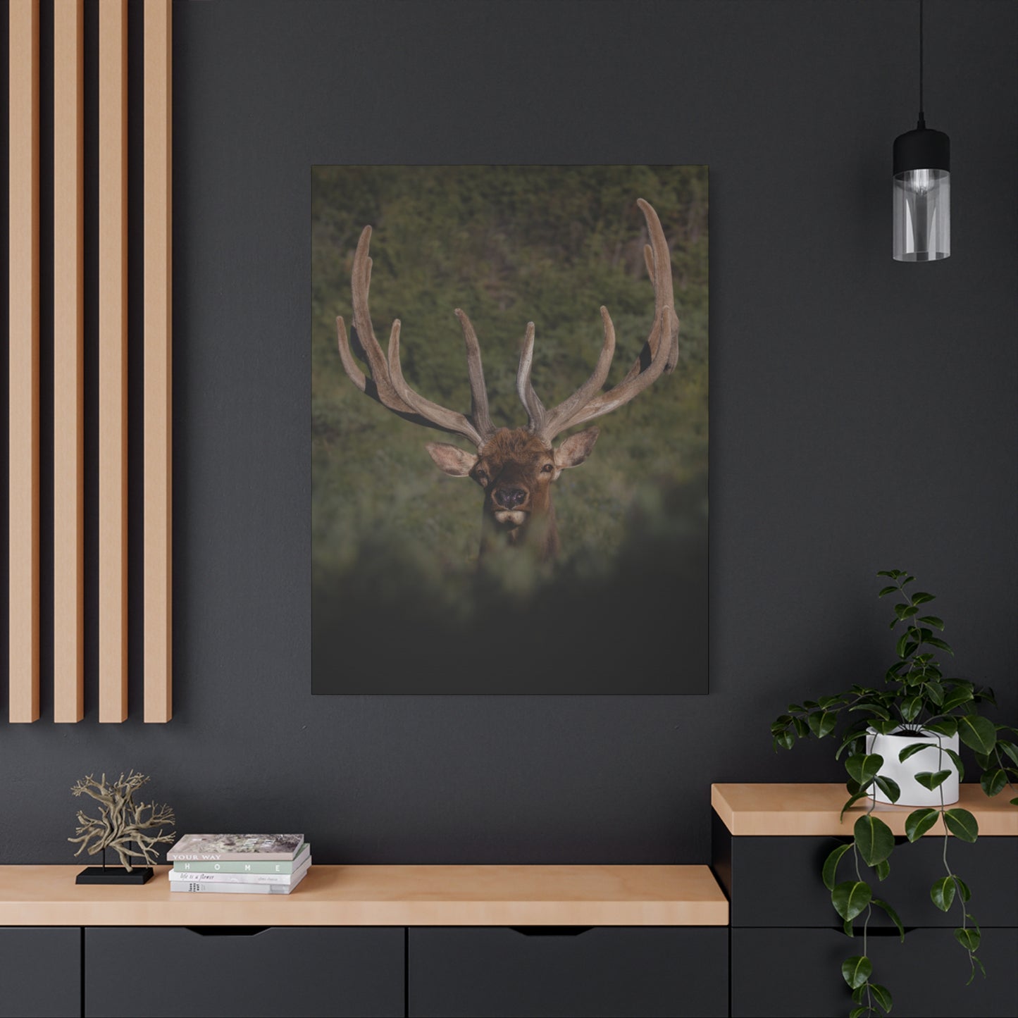 VELVET SURPRISE BULL ELK STRETCHED CANVAS PRINT