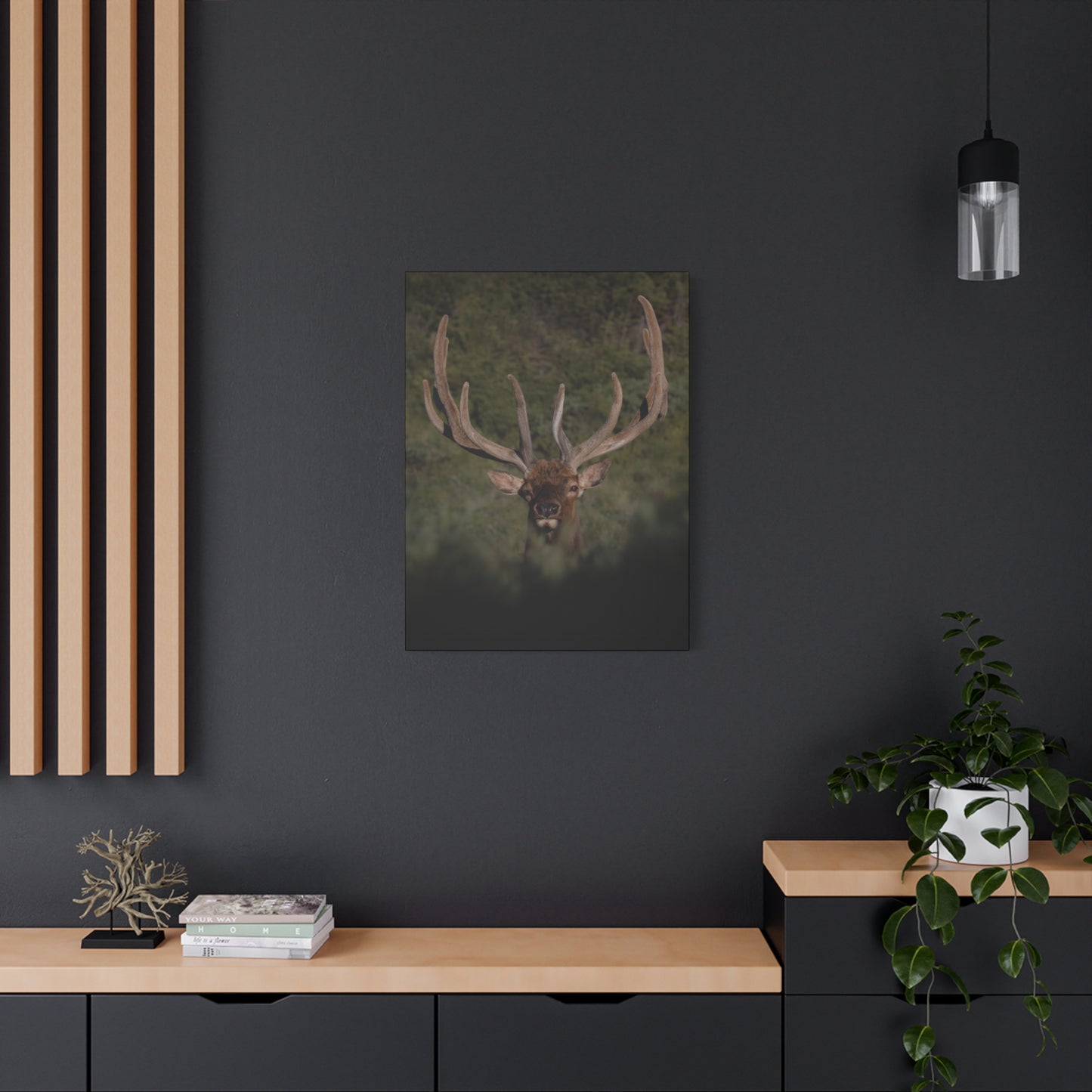 VELVET SURPRISE BULL ELK STRETCHED CANVAS PRINT