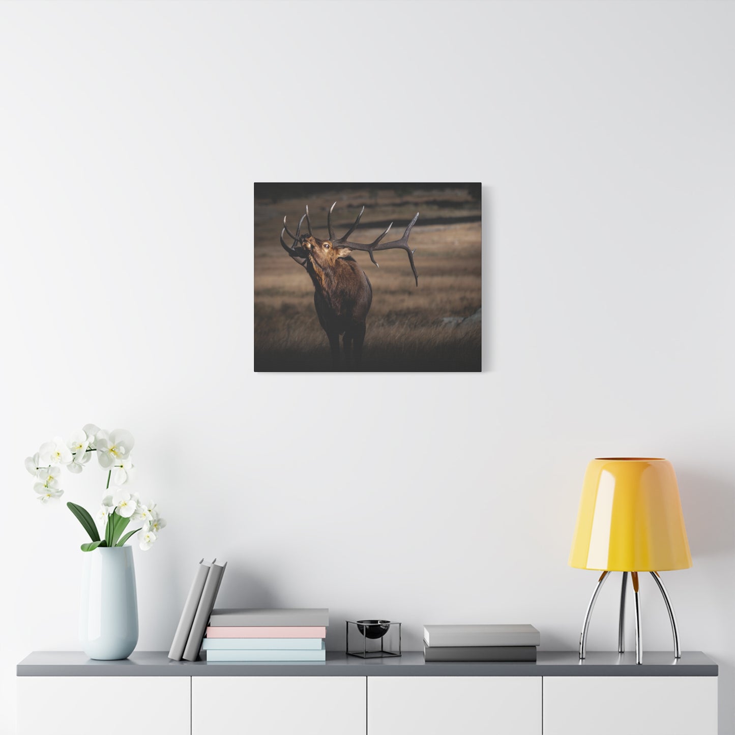 WILD SIDE BULL ELK STRETCHED CANVAS PRINT