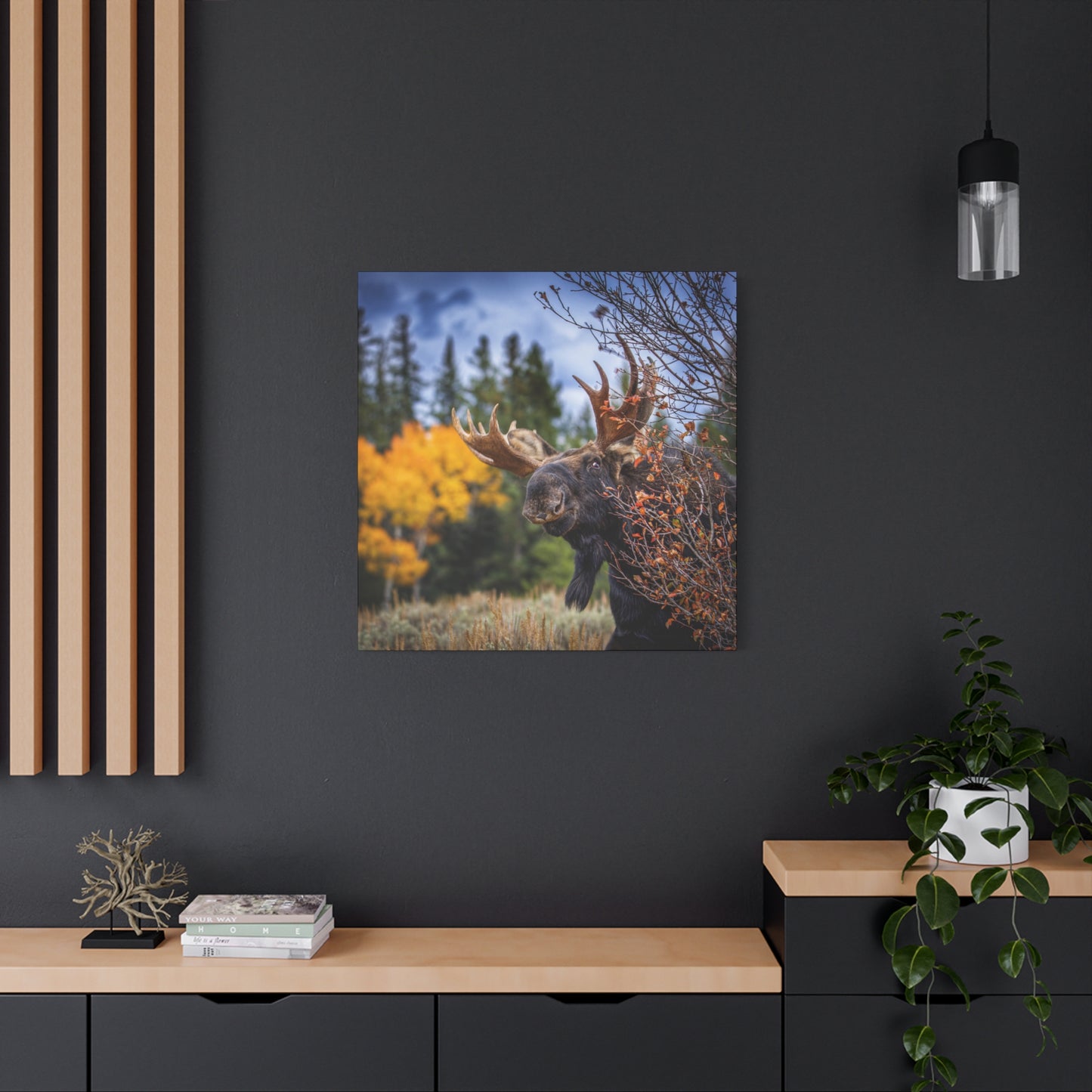 PEEKING BULL MOOSE STRETCHED CANVAS PRINT
