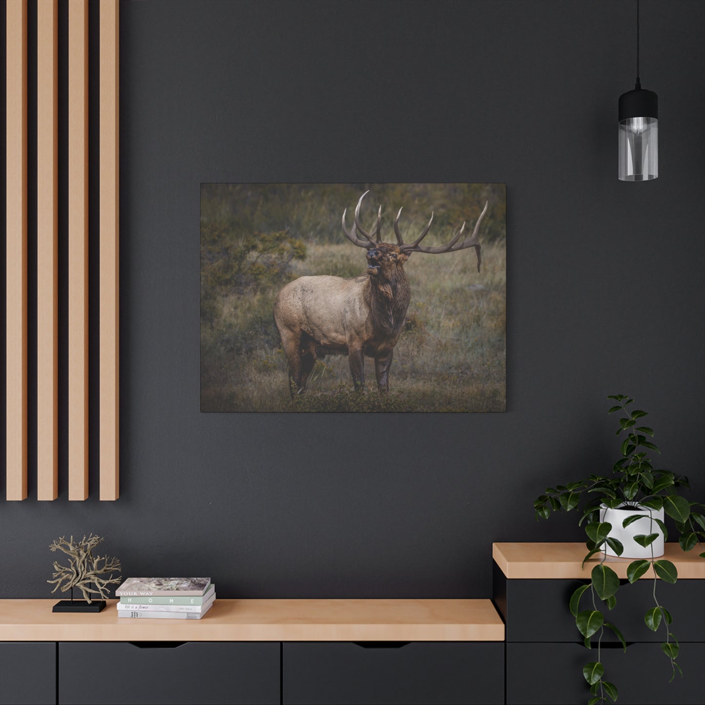 BEAMER BULL ELK STRETCHED CANVAS PRINT