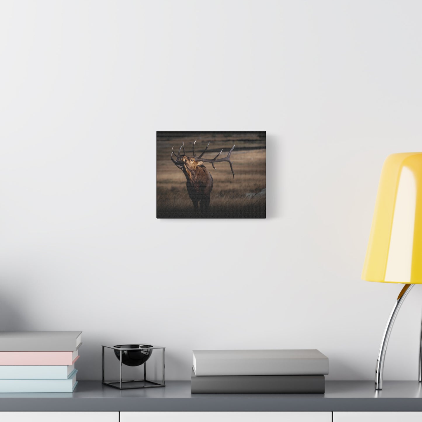 WILD SIDE BULL ELK STRETCHED CANVAS PRINT