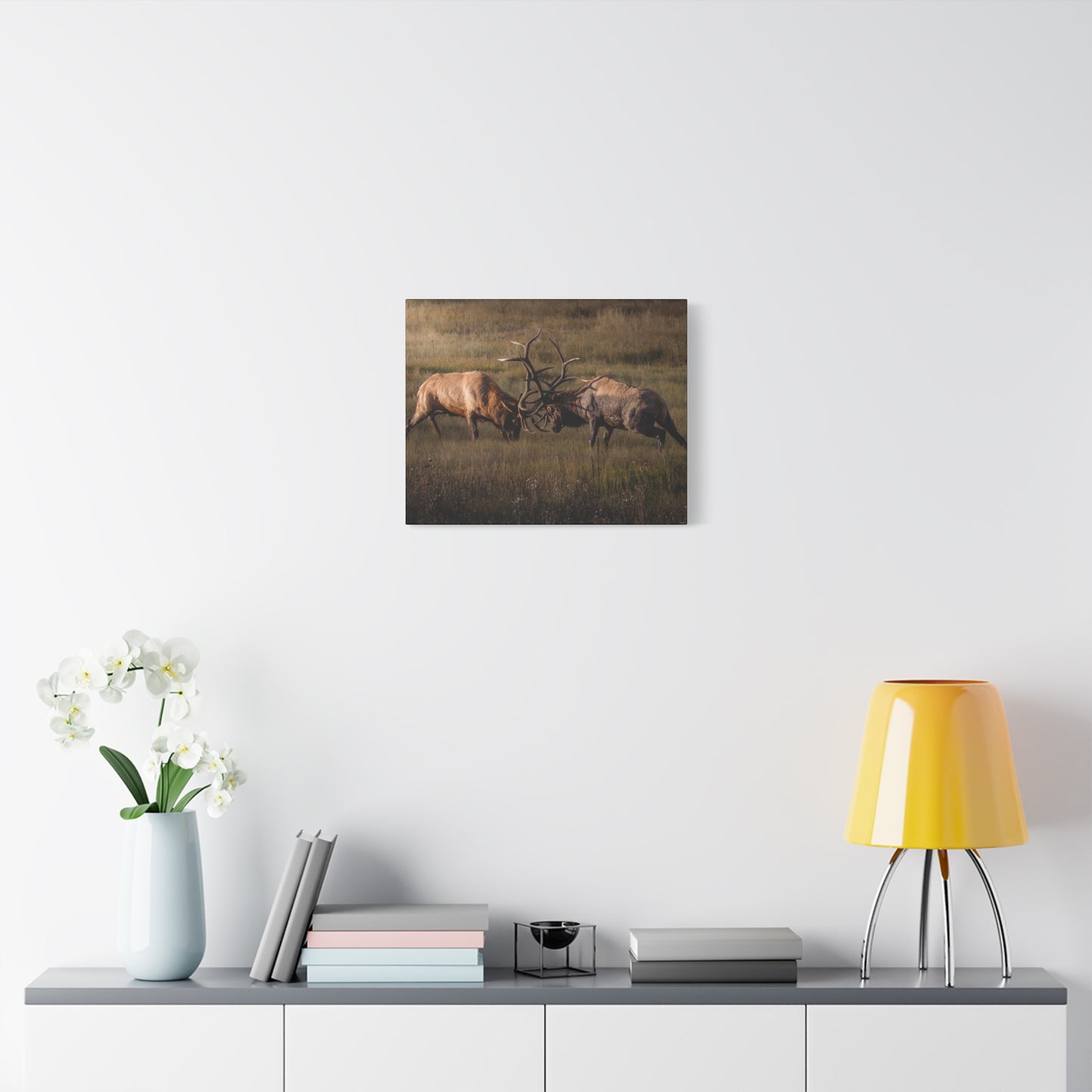 LOCKED IN LIGHT BULL ELK STRETCHED CANVAS PRINT