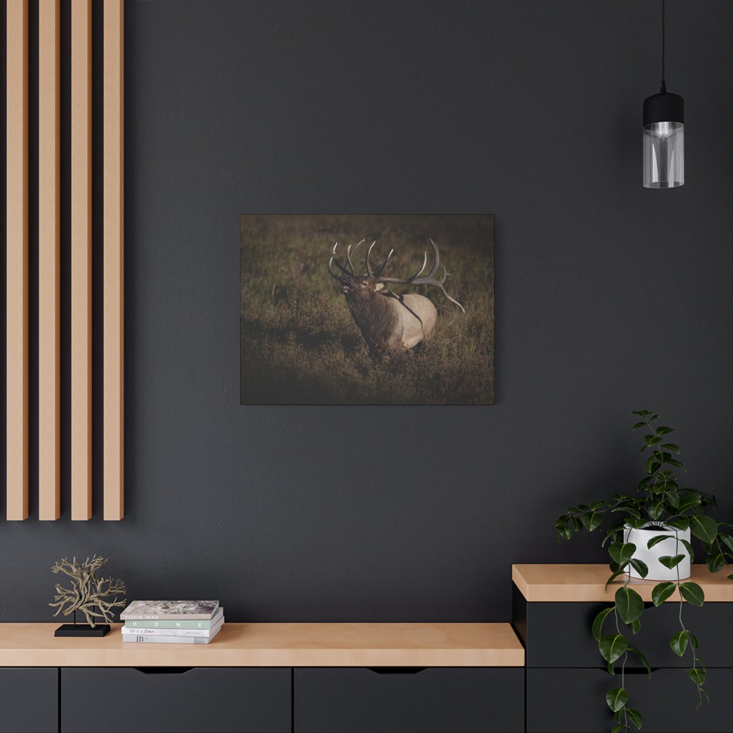 SPLIT DECISION BULL ELK STRETCHED CANVAS PRINT