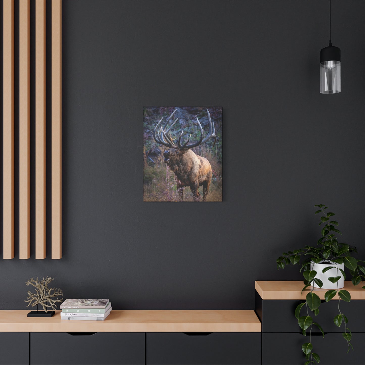 FALL INTENSITY BULL ELK STRETCHED CANVAS PRINT