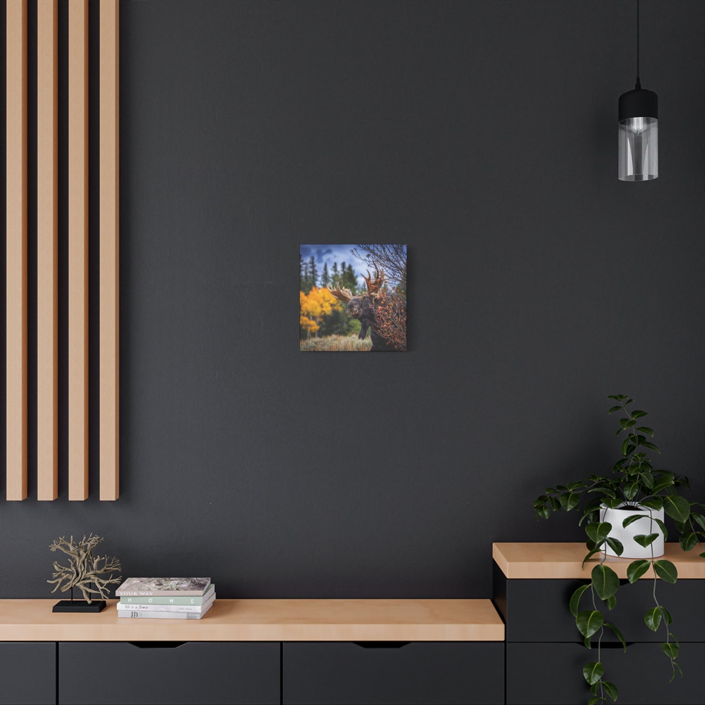 PEEKING BULL MOOSE STRETCHED CANVAS PRINT