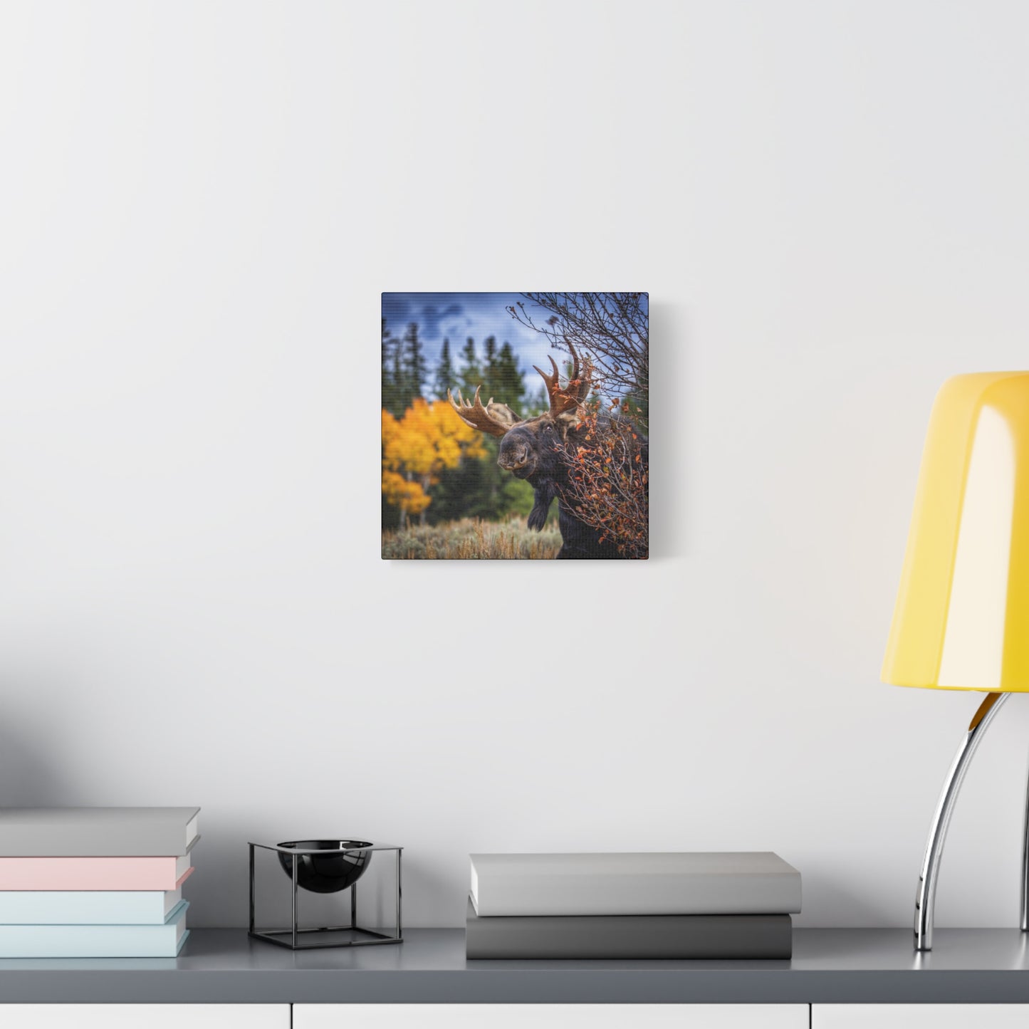 PEEKING BULL MOOSE STRETCHED CANVAS PRINT